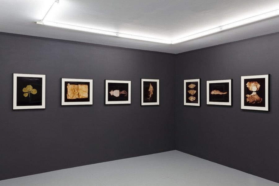 Hollis Frampton, Hollis Frampton at Room East, photo 2
