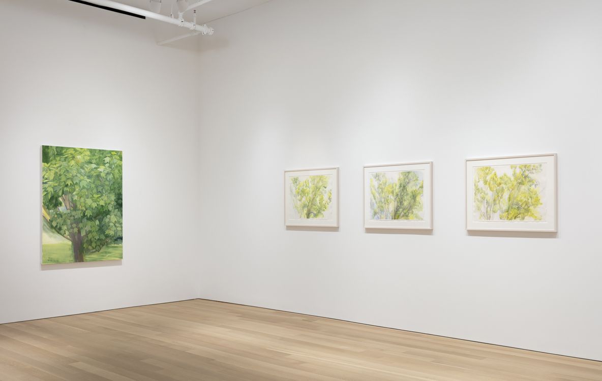 Sylvia Plimack Mangold, Summer and Winter at Alexander and Bonin, photo 4