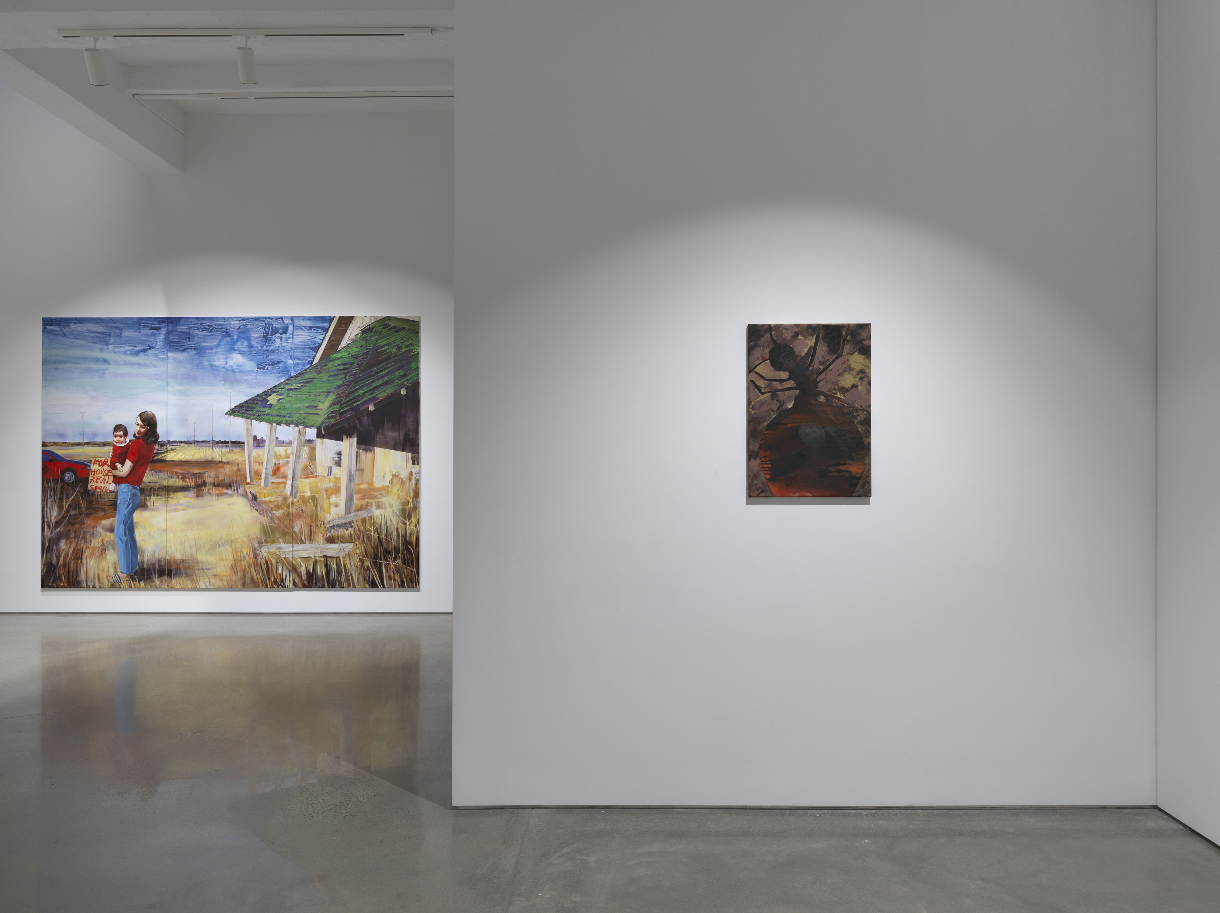 Paulina Olowska, Wisteria, Mysteria, Hysteria at Metro Pictures, photo 5