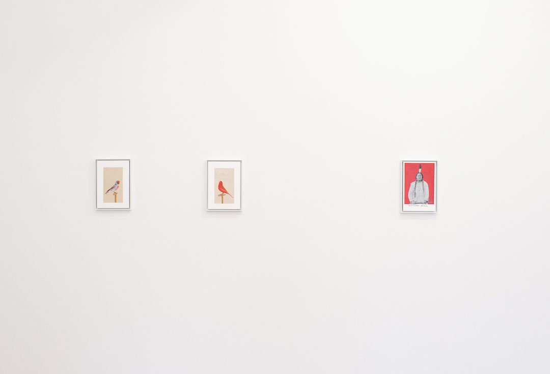 Installation view 5