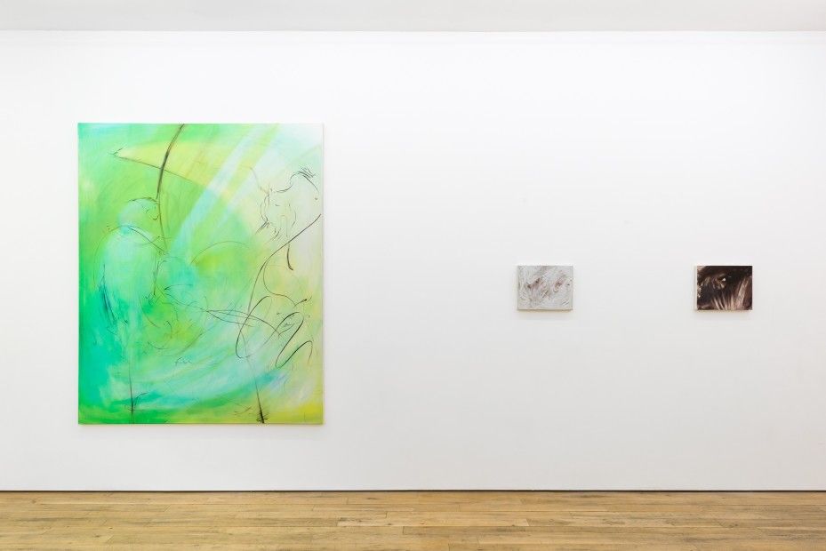 Julia Dubsky, The Marshland Akimbo at Amanda Wilkinson, photo 3