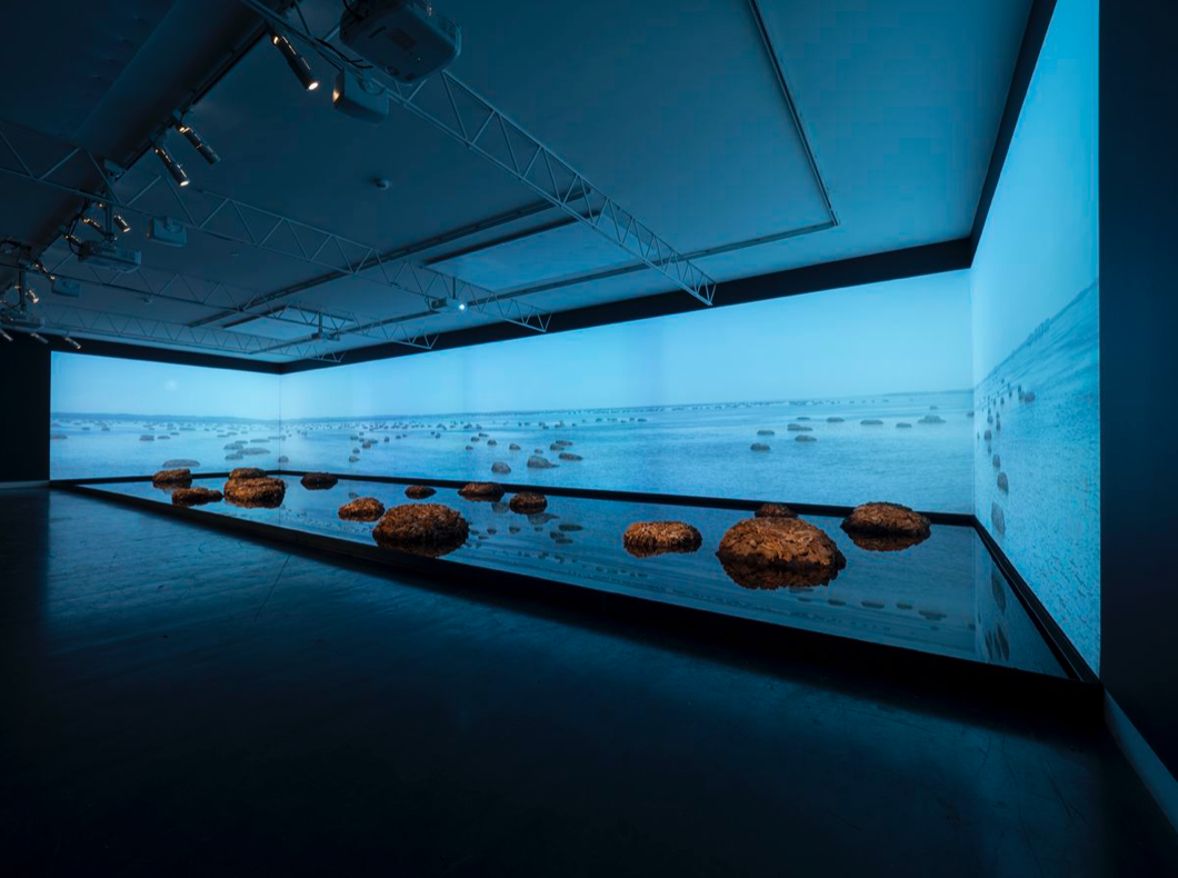 Living Rocks: A Fragment of the Universe, Living Rocks: A Fragment of the Universe at Magazzino del Sale No. 5, photo 2