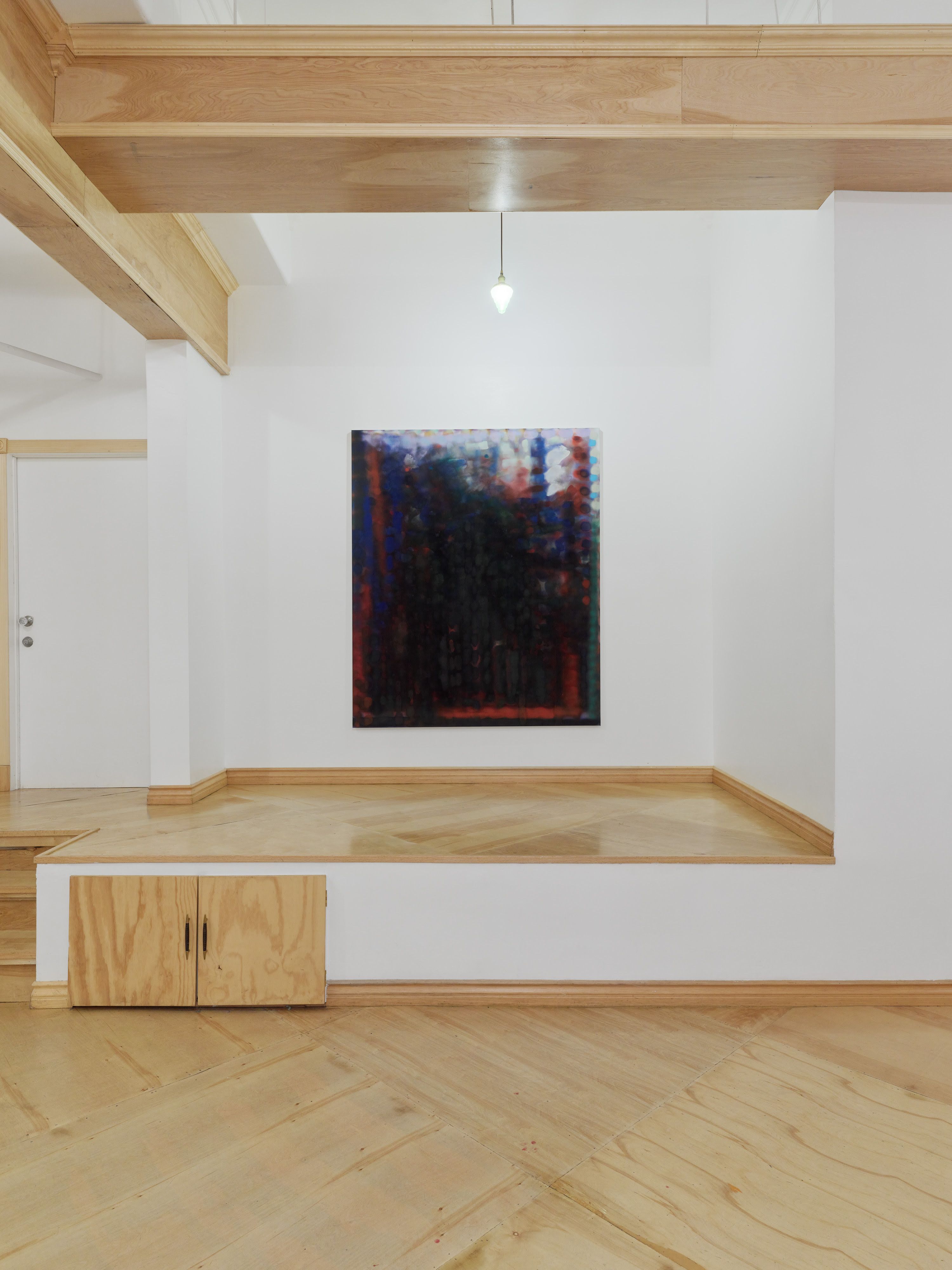 Sara Ludy, Later Fields at Smart Objects, photo 4
