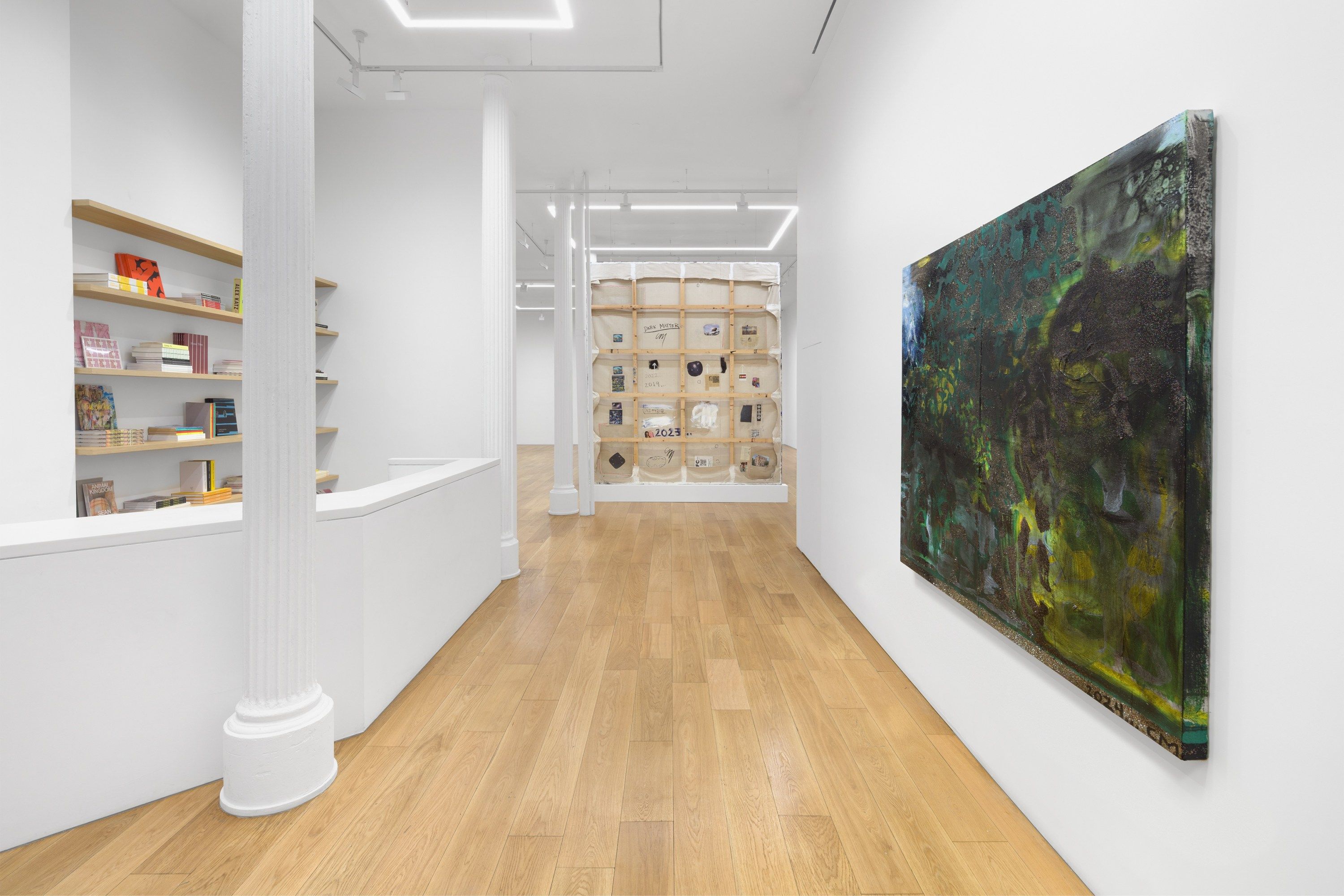 Chris Martin, Speed of Light at Timothy Taylor, photo 7