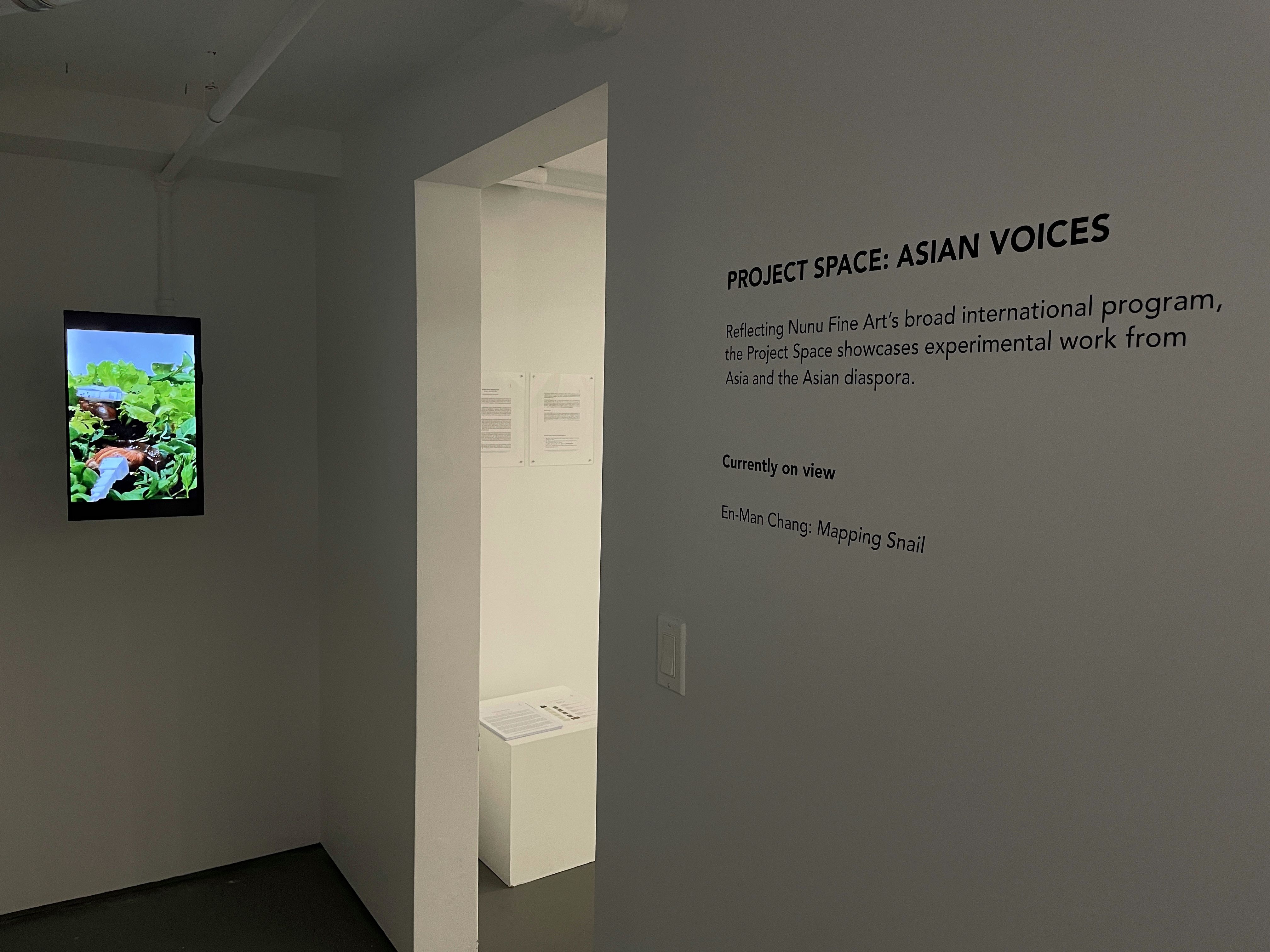 En-Man Chang, Mapping Snail at Nunu Fine Art, photo 5