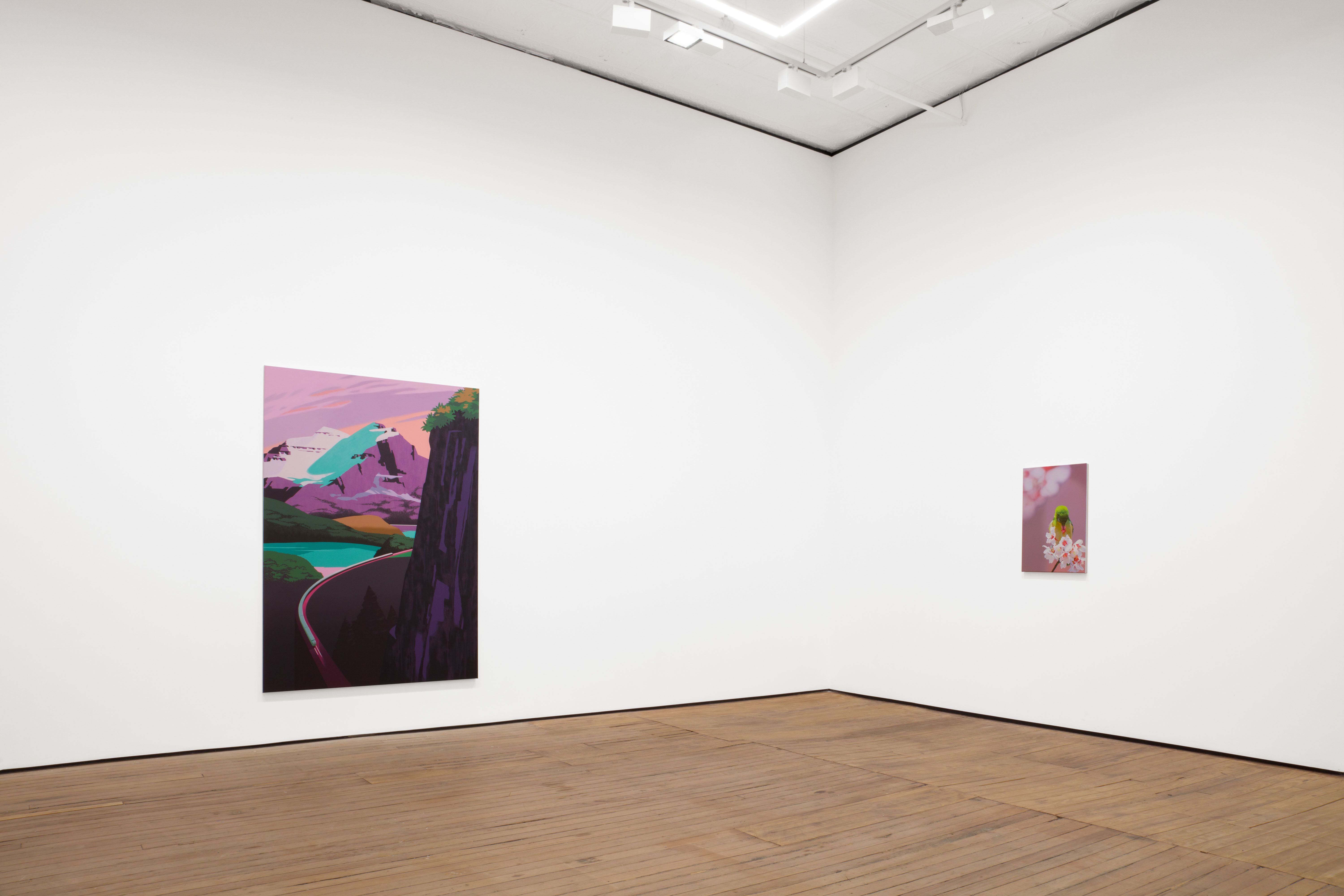 Alex Dordoy, The Flowers and the Hours at Grimm, photo 5