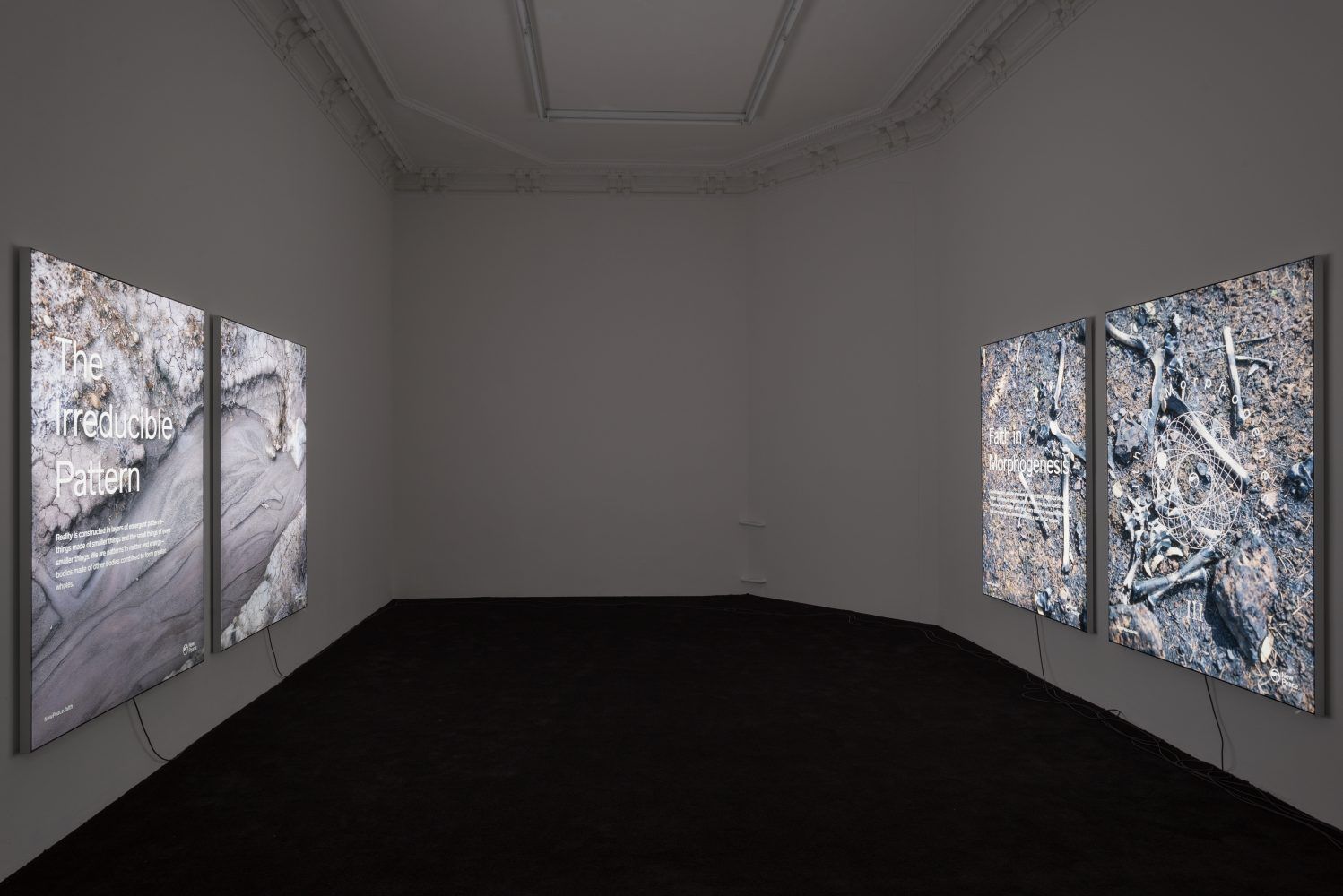 Timur Si-Qin, Campaign For A New Protocol, Part I at Société, photo 6