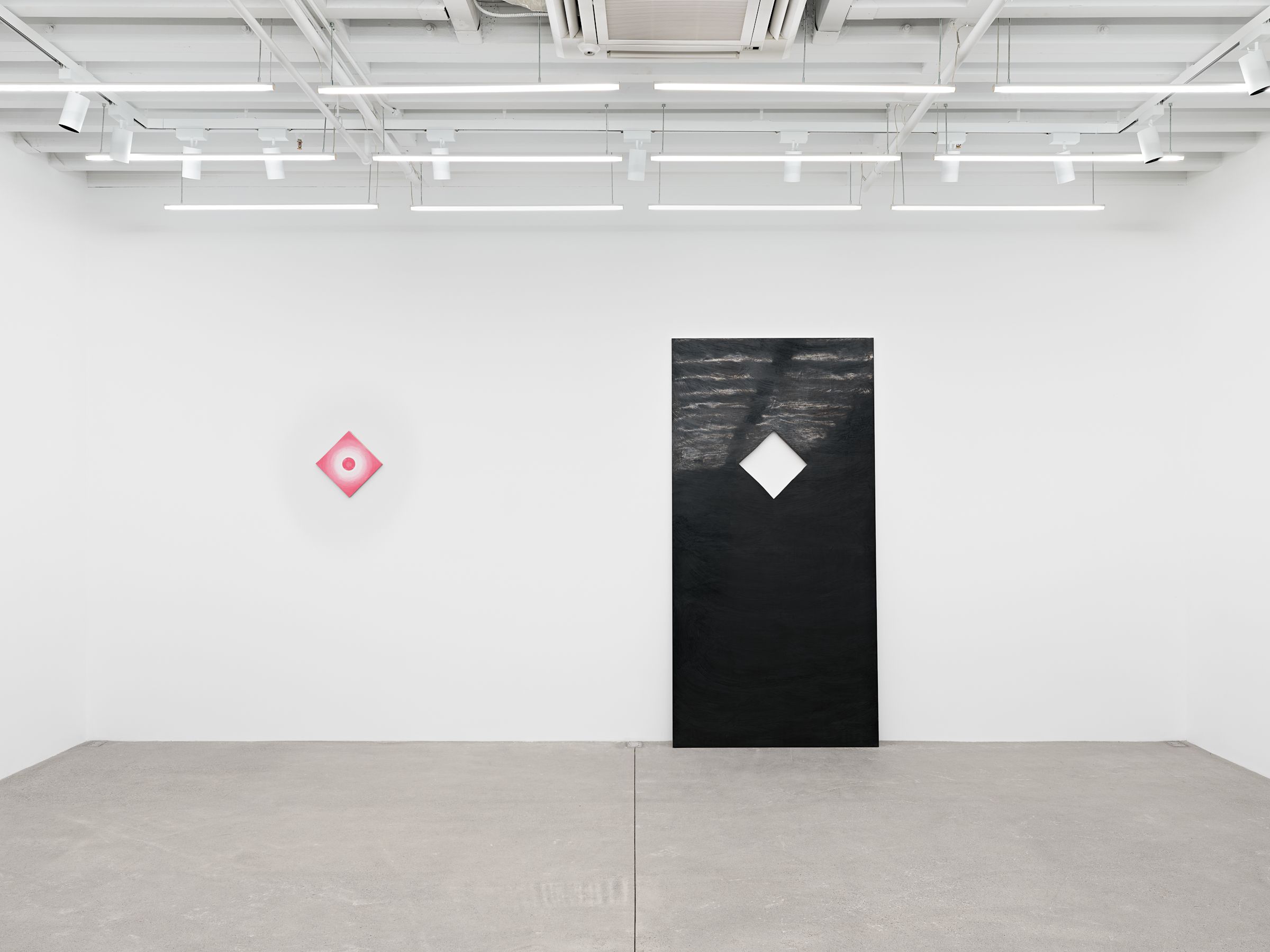 Alex Kwartler, Eclipse at Magenta Plains, photo 7