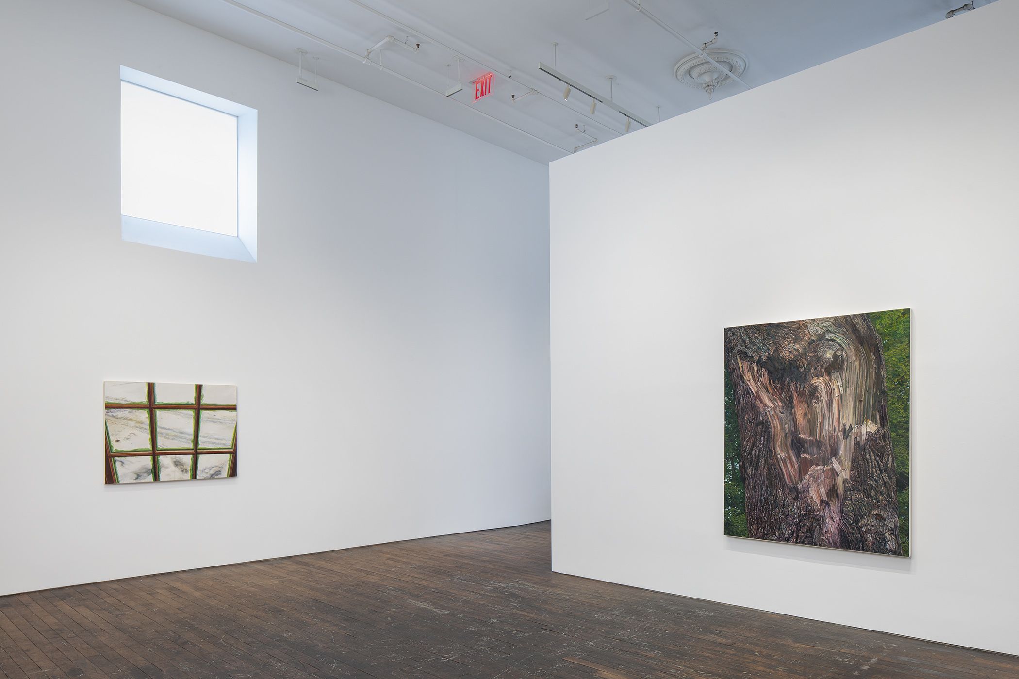 Catherine Murphy, Recent Work at Peter Freeman, photo 5
