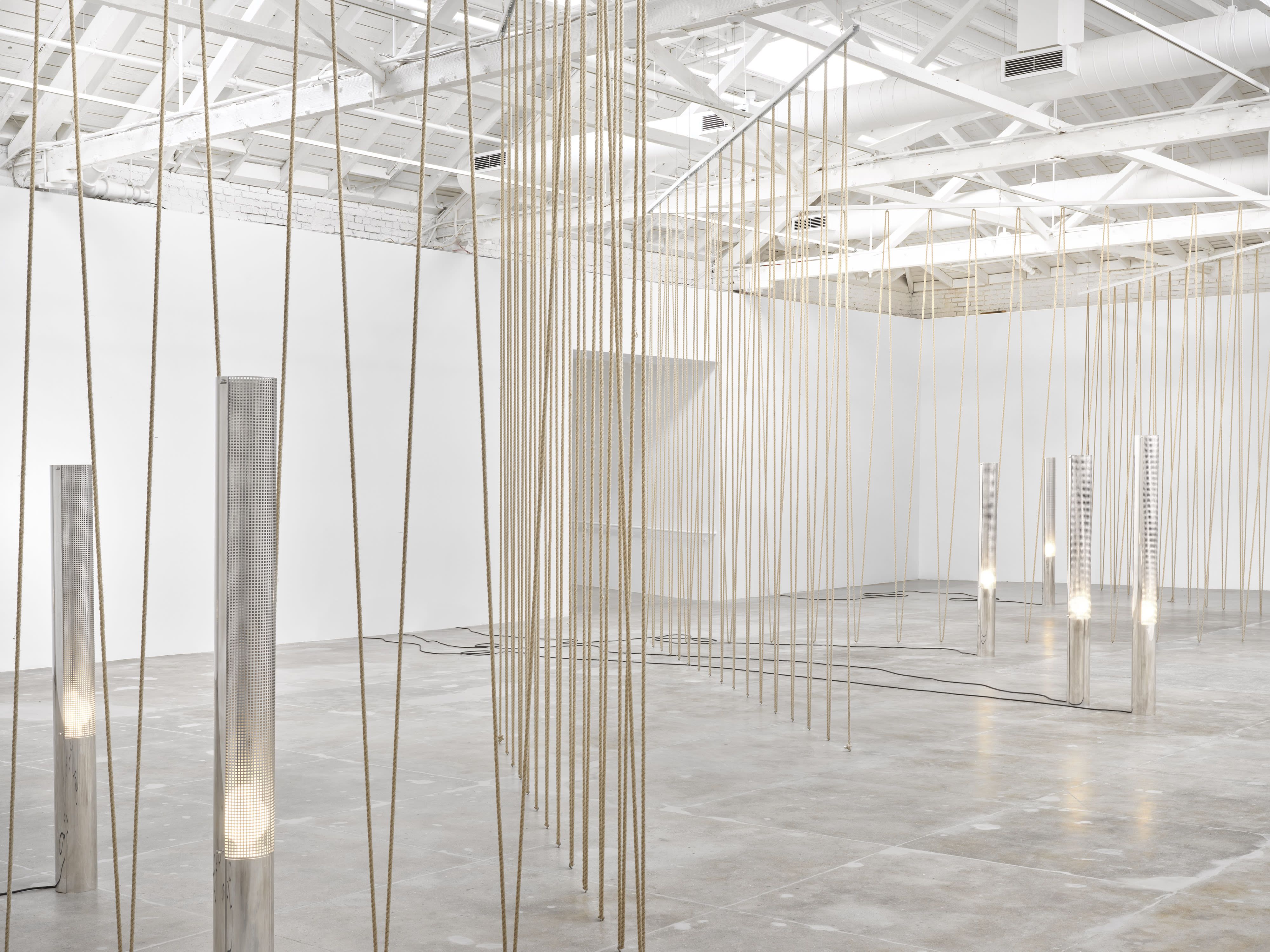Leonor Antunes, Discrepancies with W.W. (Extended) at Marian Goodman, photo 5