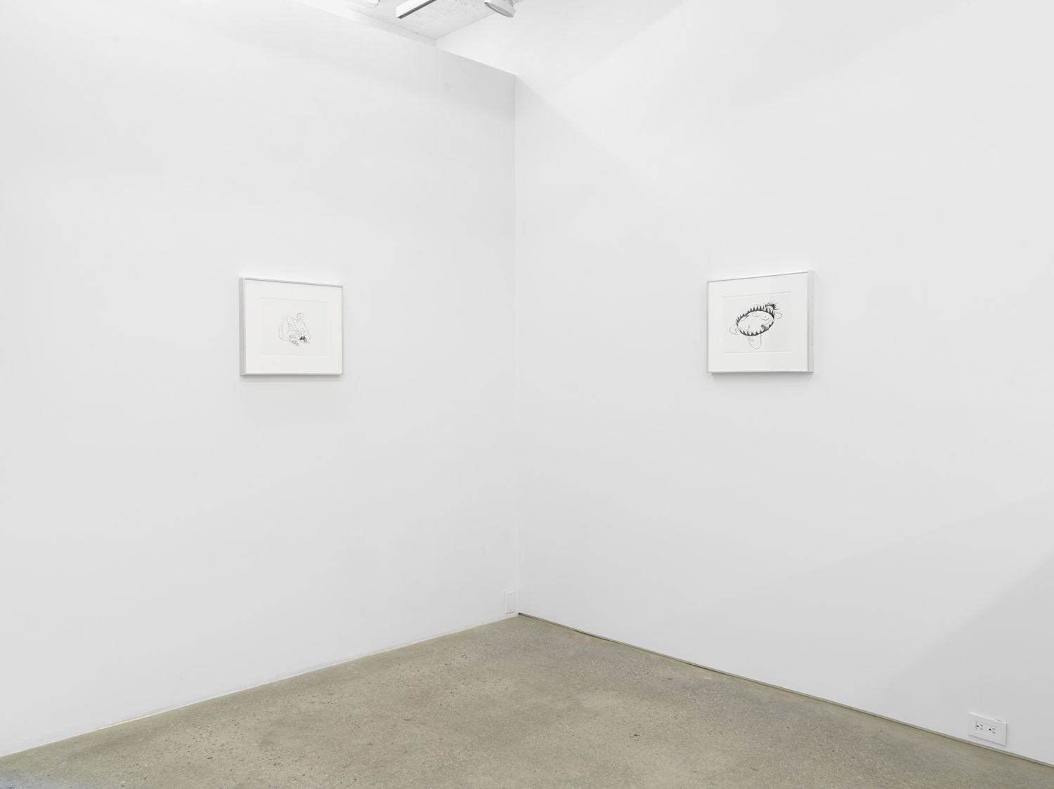 Ebecho Muslimova, Traps! at Magenta Plains, photo 4