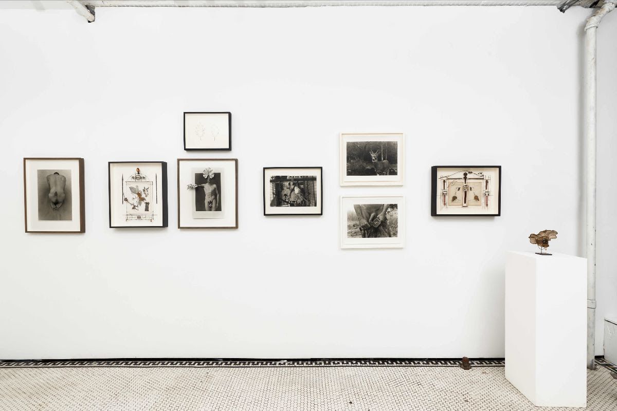 Eric Rhein, Sweetness on the Mountain at Fierman, photo 3