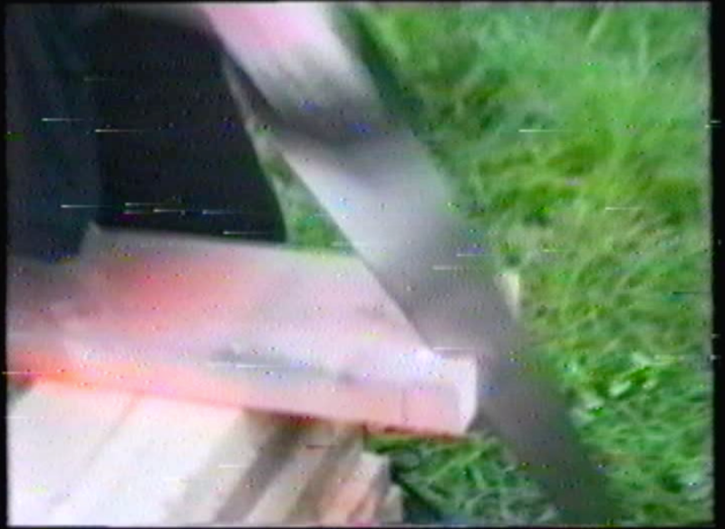 Winnie Herbstein, Brace at Jupiter Woods, photo 2