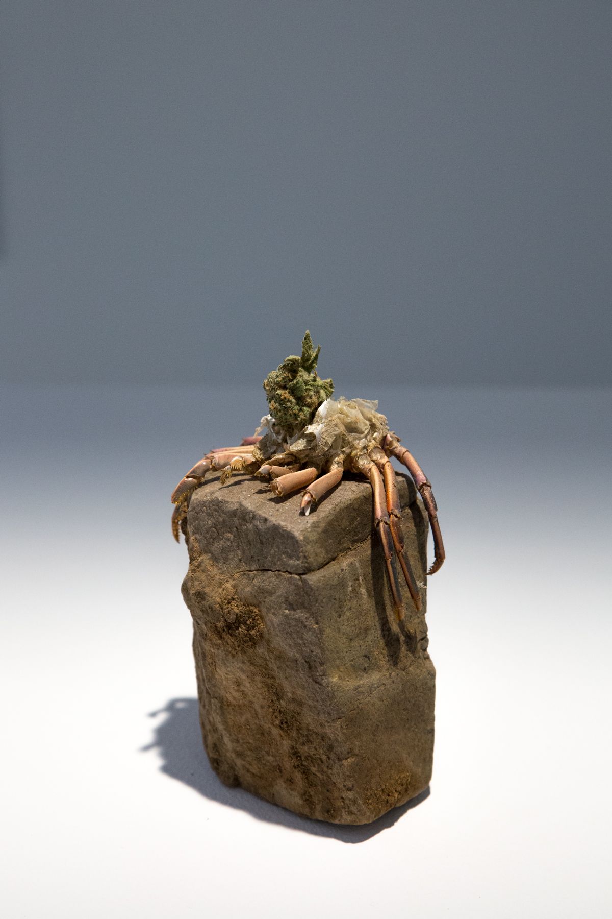 Ohlsson/Dit-Cilinn, Hydrogenesis at Hilde, photo 12