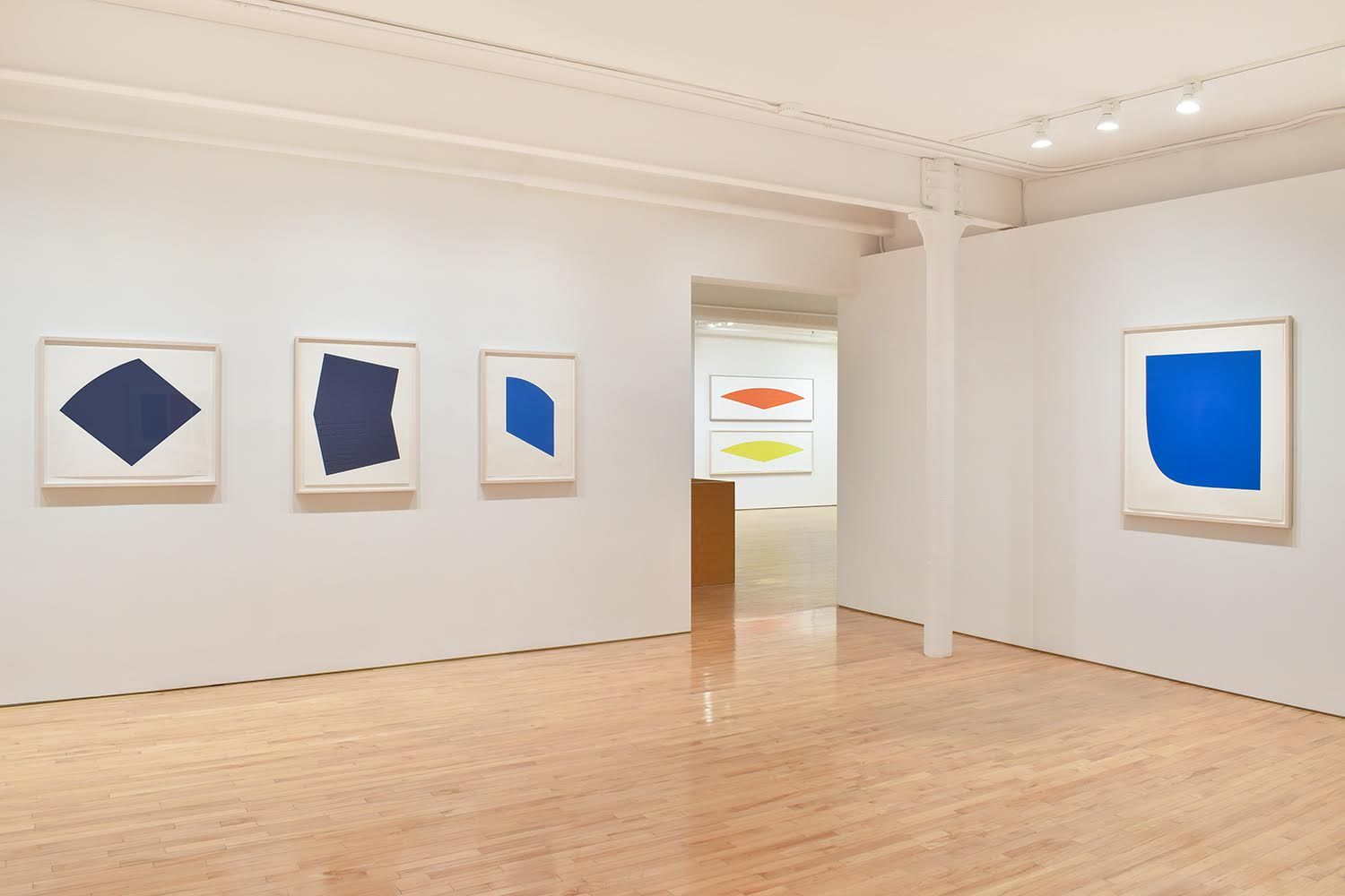Ellsworth Kelly, An Exploration of Color at Gemini G.E.L. at Joni Moisant Weyl, photo 4