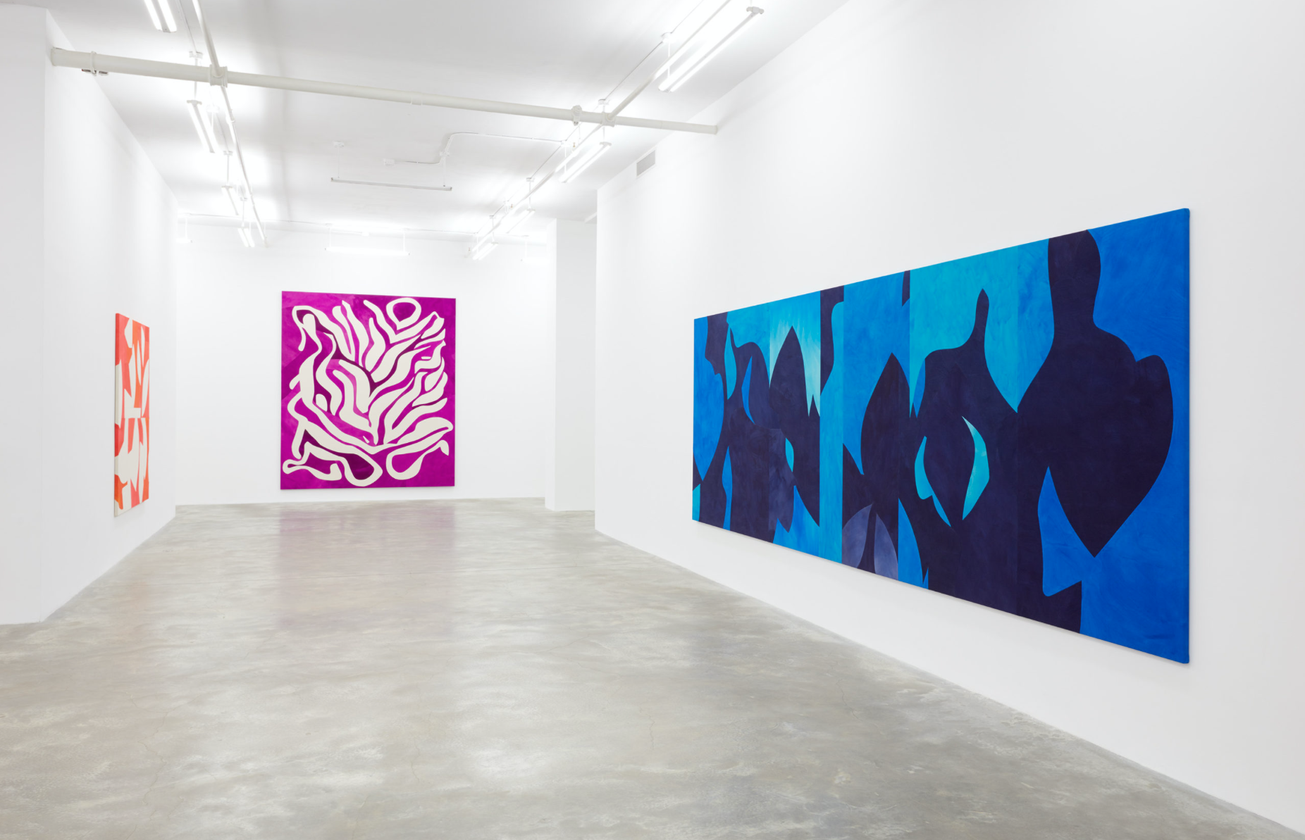 Sarah Crowner, Sarah Crowner at Casey Kaplan, photo 5