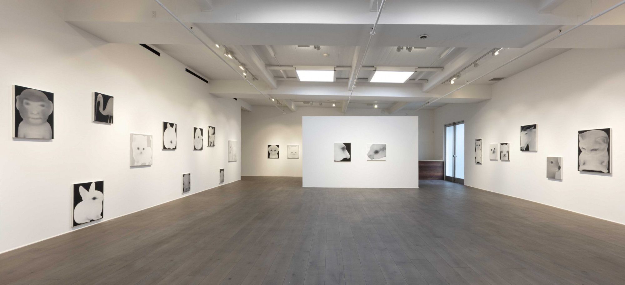 Jingze Du, True Colors at Steve Turner, photo 7