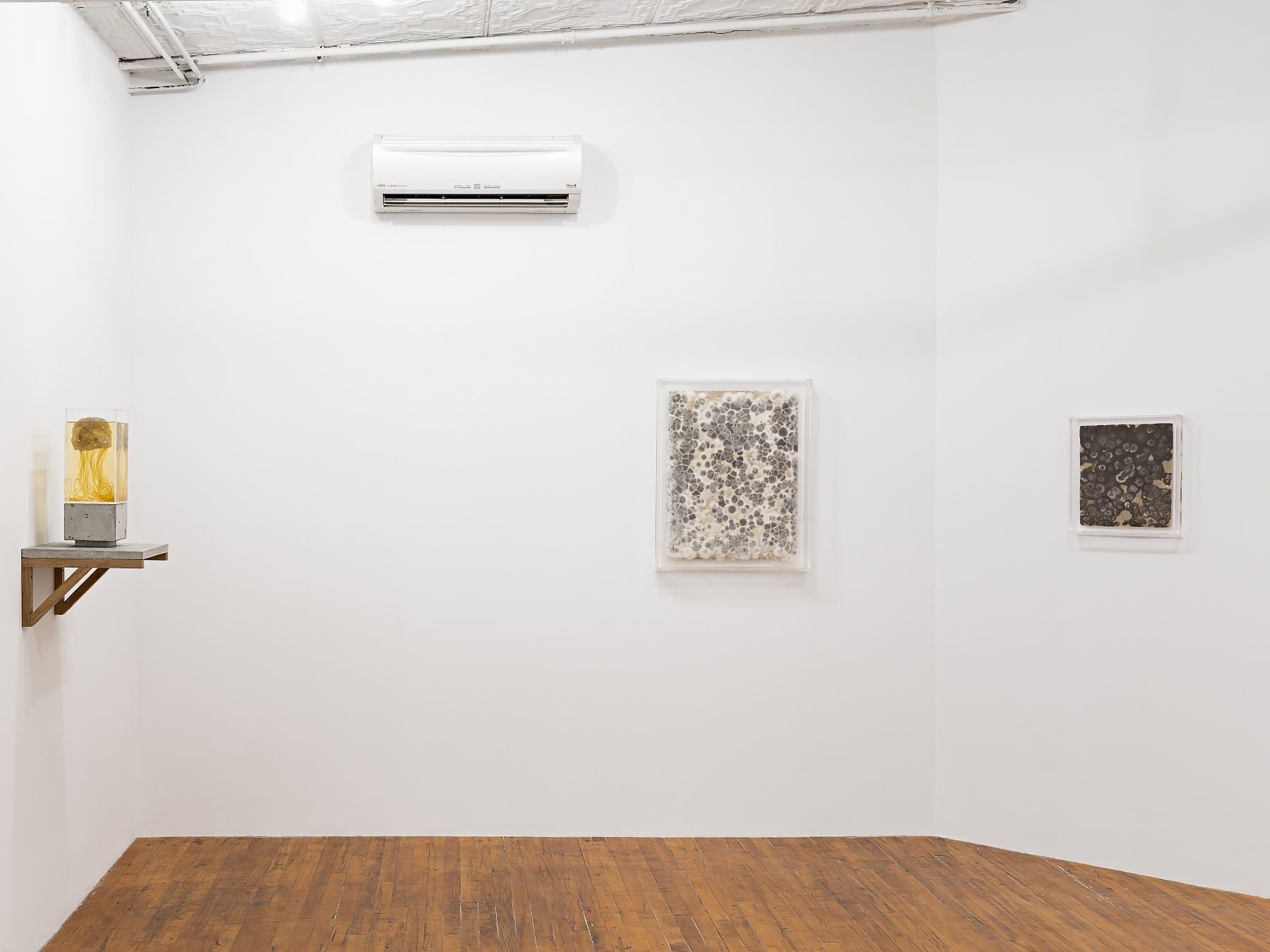 Installation view 8