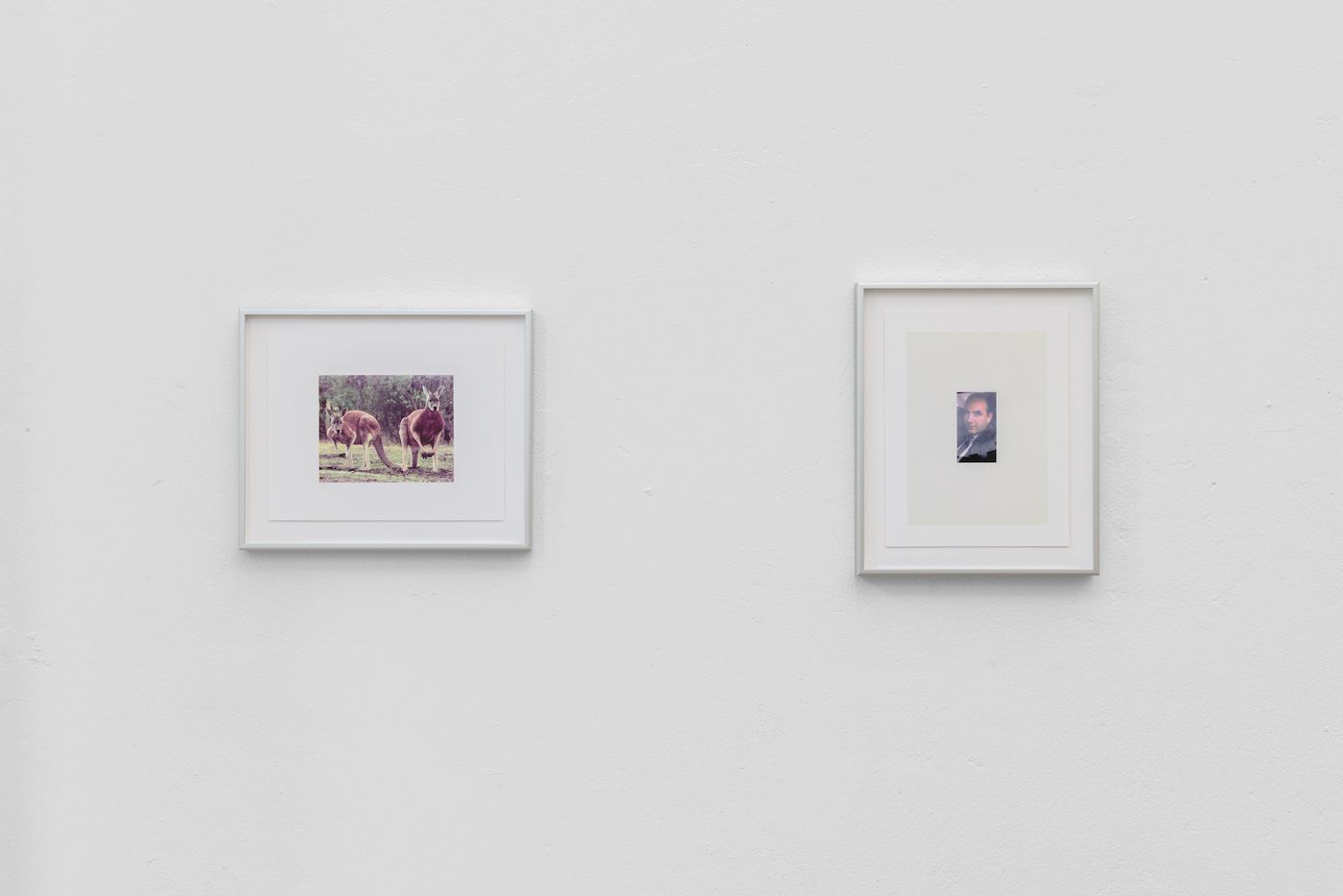 Lucien Samaha, The Price of Gas & First Digitals at Schiefe Zähne, photo 2