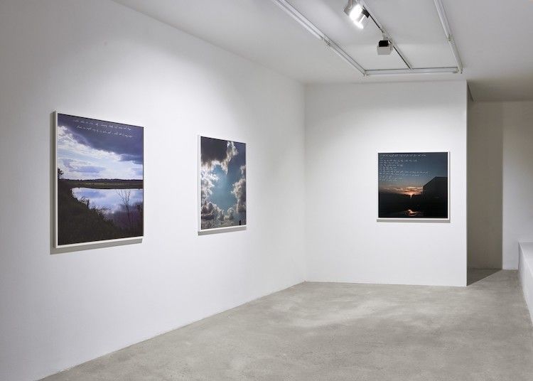 Sky Hopinka, Sunflower Siege Engine at Tanya Leighton, photo 3