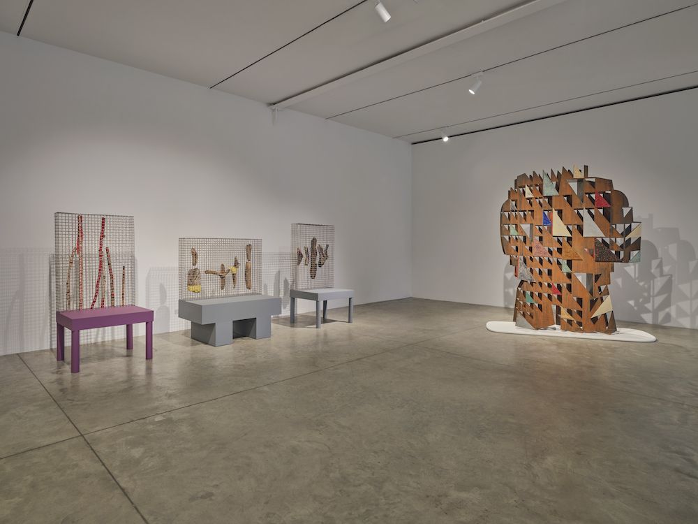 The New Transcendence, The New Transcendence at Friedman Benda, photo 2