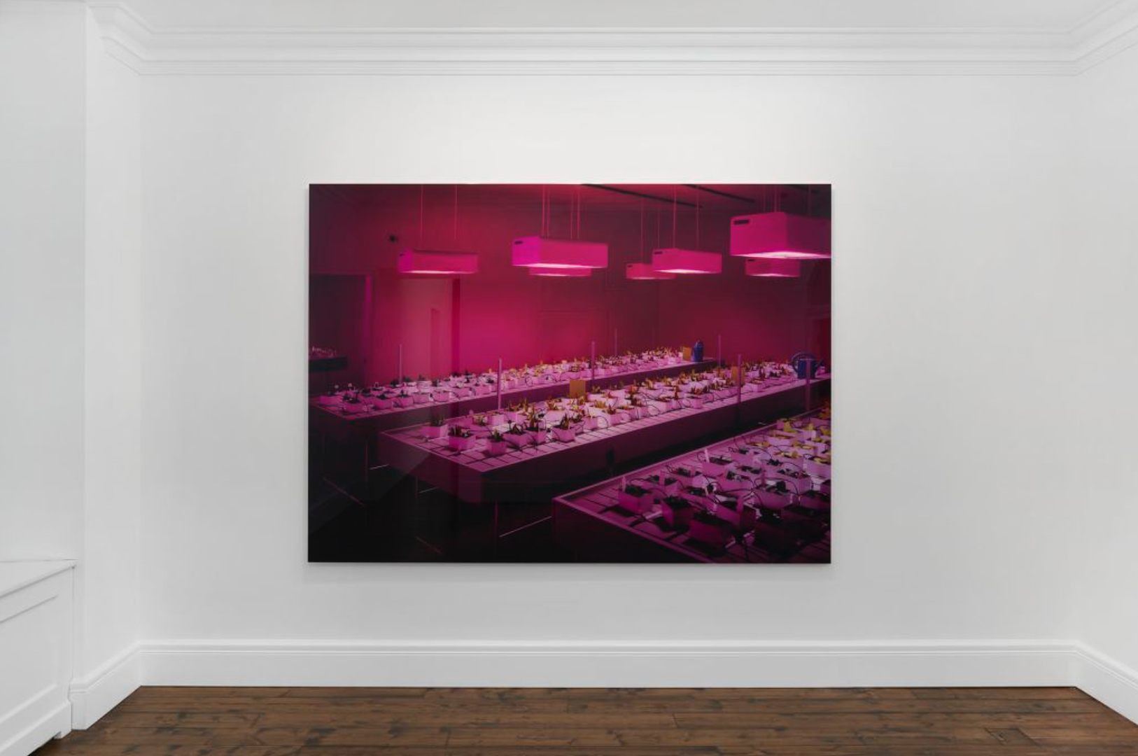 Thomas Demand, Thomas Demand at Sprüth Magers, photo 3