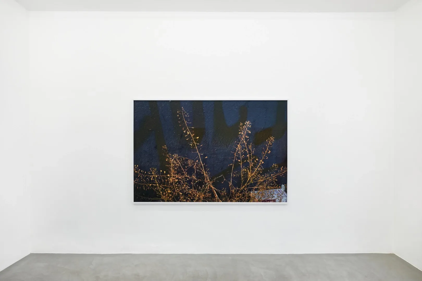 Paul Hutchinson, Hues at Cadet Capela, photo 2