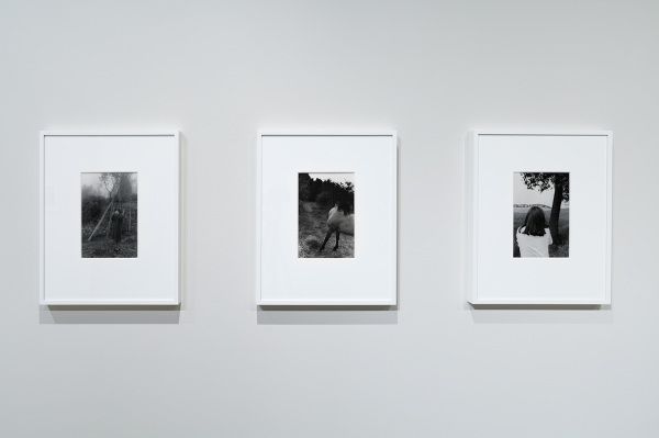 Arnaud Claass, The Eye's Intention at 601 Artspace, photo 8