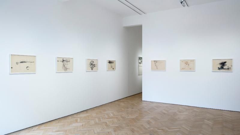Ibrahim El-Salahi, By His Will We Teach Birds How to Fly at Vigo, photo 3