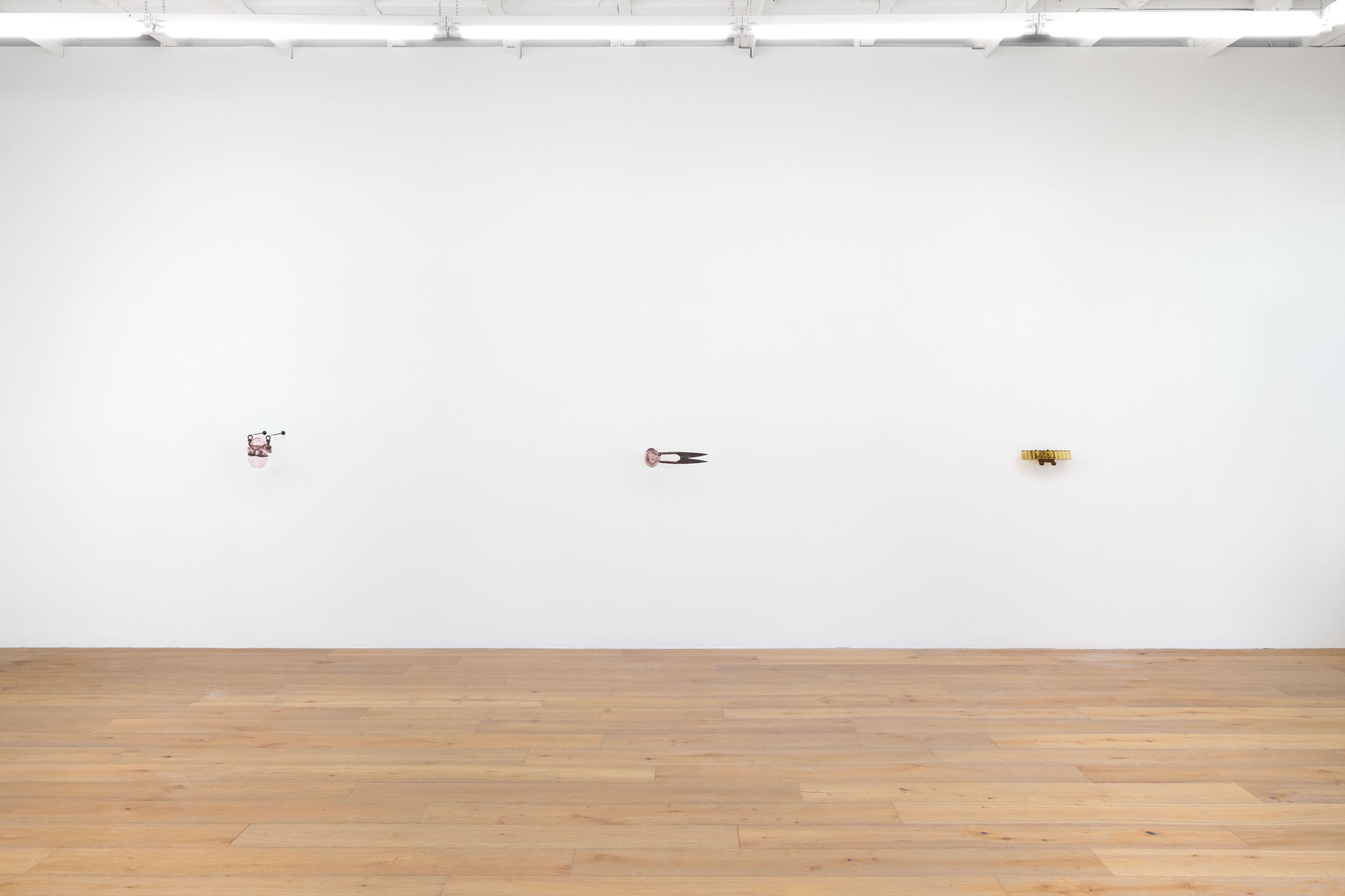 Sula Bermudez-Silverman, Mole, Mold, Molt at Hannah Hoffman, photo 3