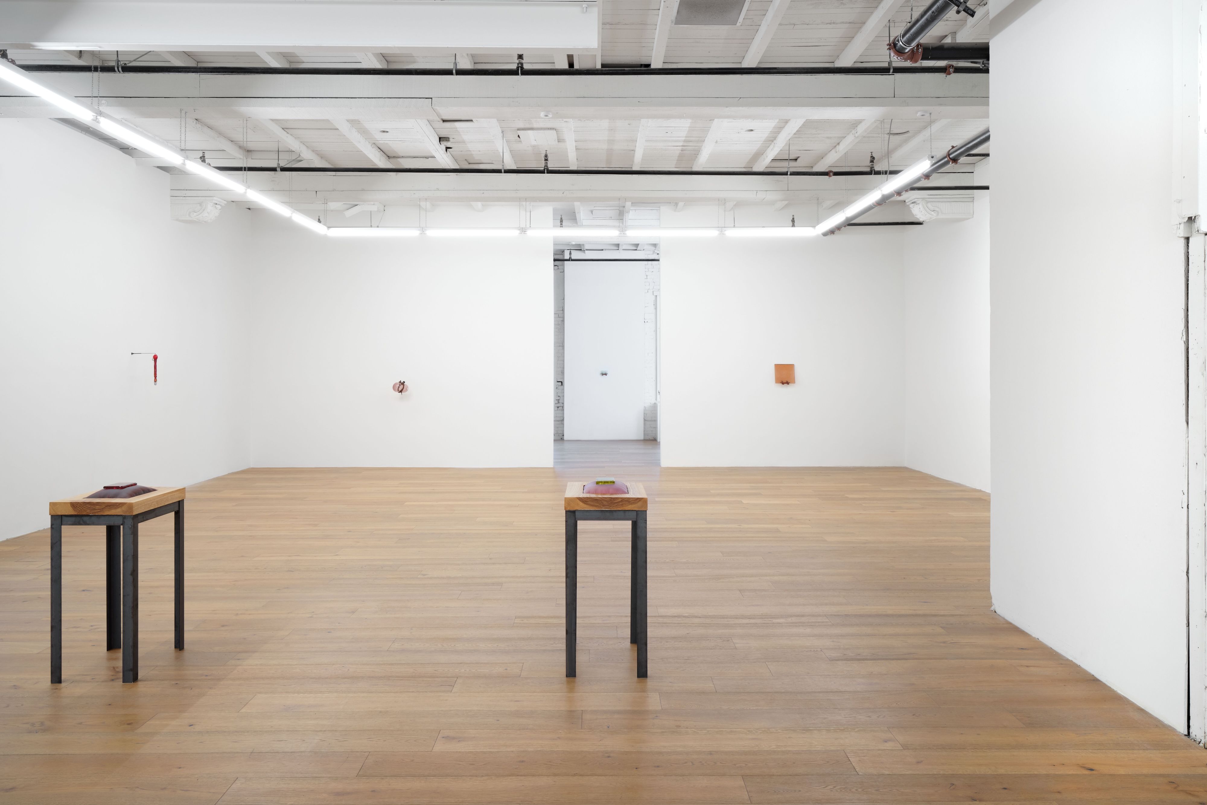Sula Bermudez-Silverman, Mole, Mold, Molt at Hannah Hoffman, photo 6