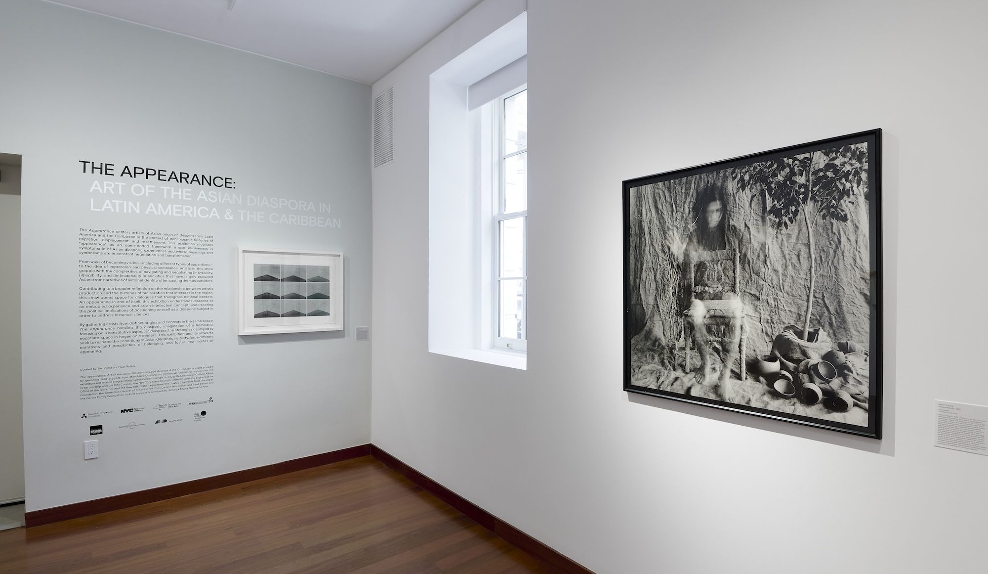 The Appearance: Art of the Asian Diaspora in Latin America & the Caribbean, The Appearance: Art of the Asian Diaspora in Latin America & the Caribbean at Americas Society, photo 4