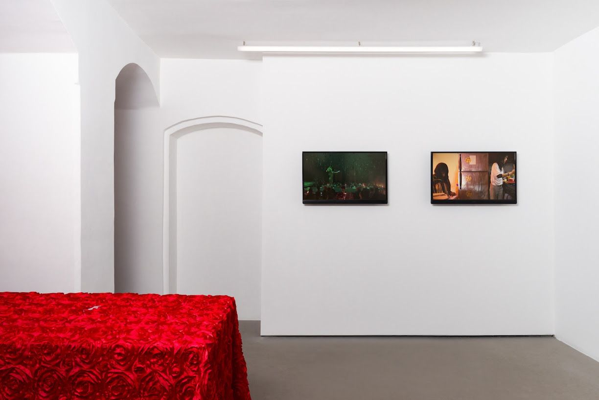Puppies Puppies (Jade Guanaro Kuriki-Olivo), Trigger Warning at Balice Hertling, photo 3