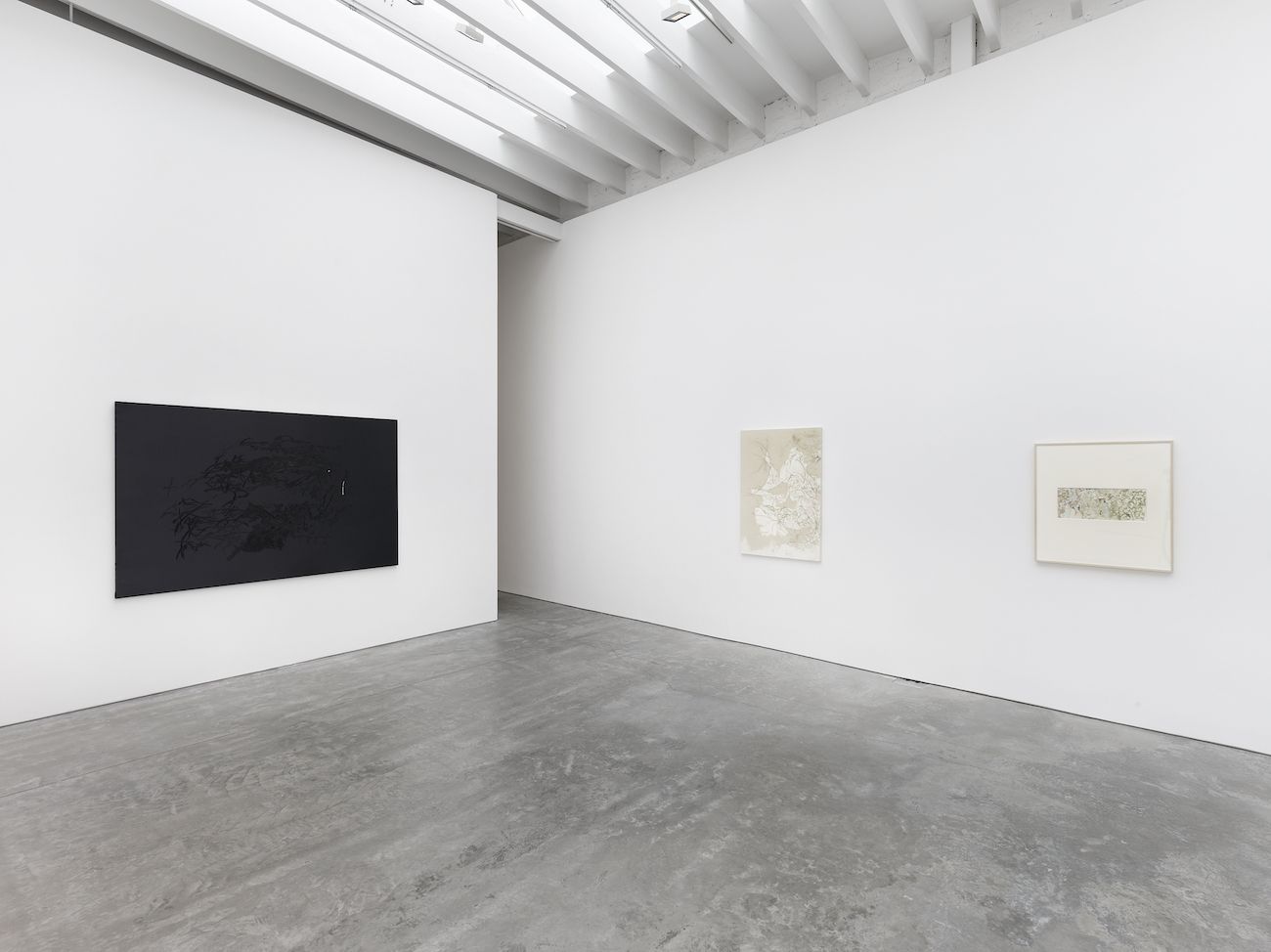 Katherine Auchterlonie, Kiss Garden at Ross + Kramer, photo 7