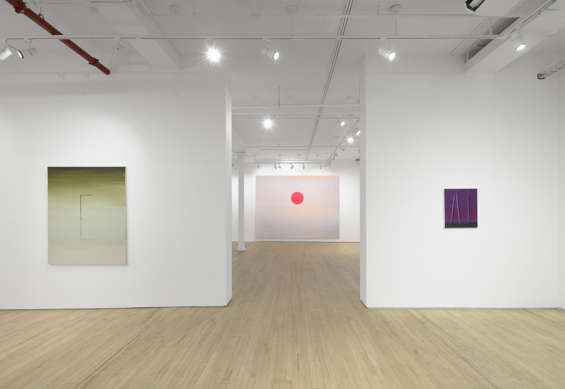 Wanda Koop, Magnetic Field at Arsenal Contemporary Art, photo 2