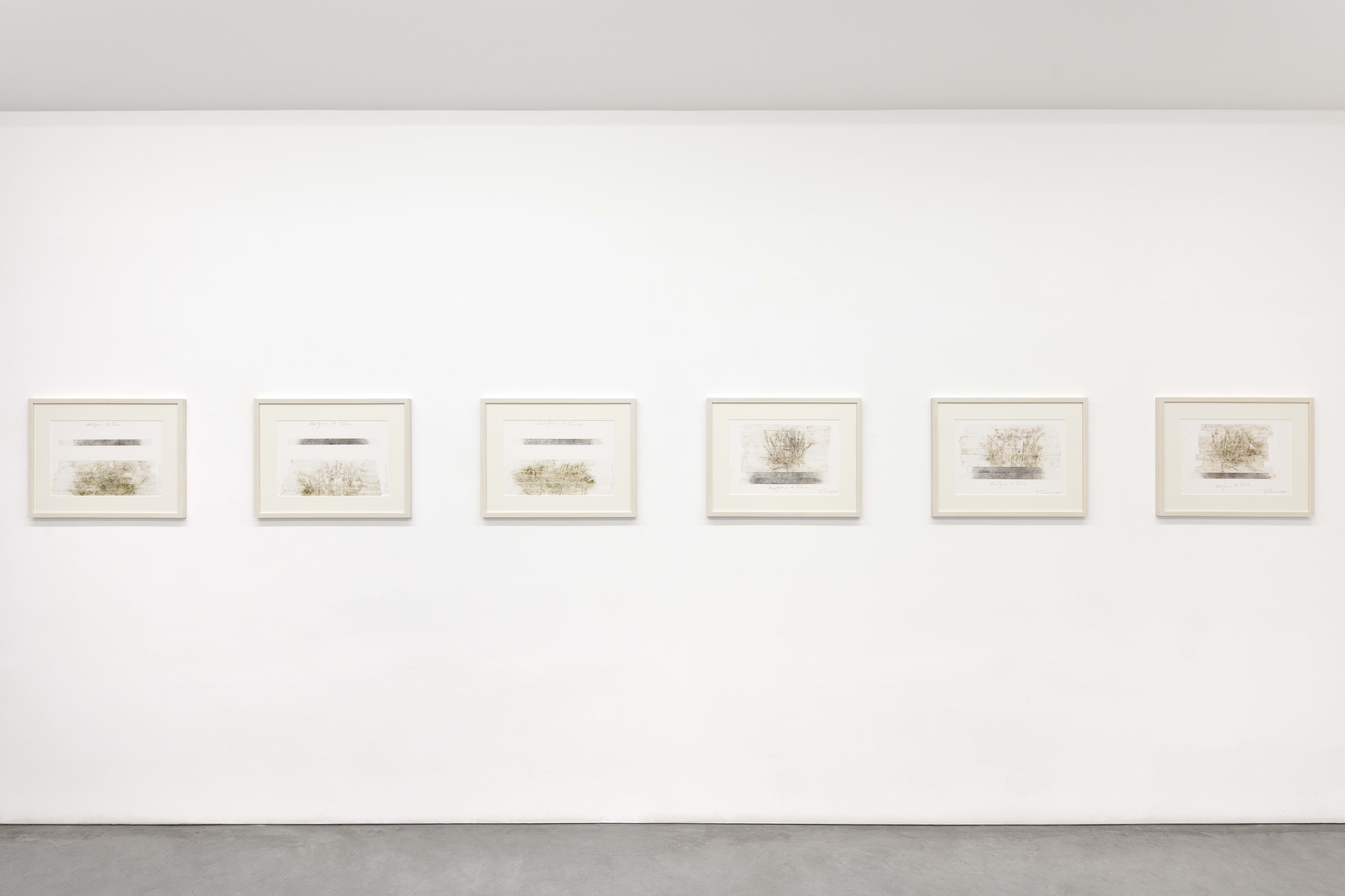 Giuseppe Penone, Envelopper la Terre at Librairie Marian Goodman, photo 3