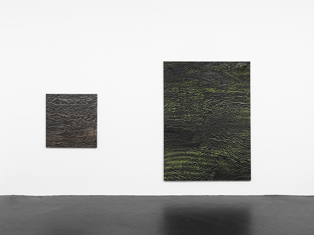 Isa Genzken, Basic Research at Buchholz, photo 5