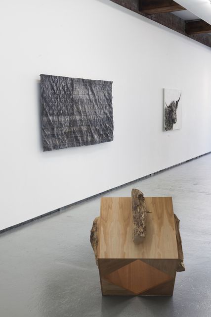 Thank You, Thank You at Dodge Gallery, photo 2