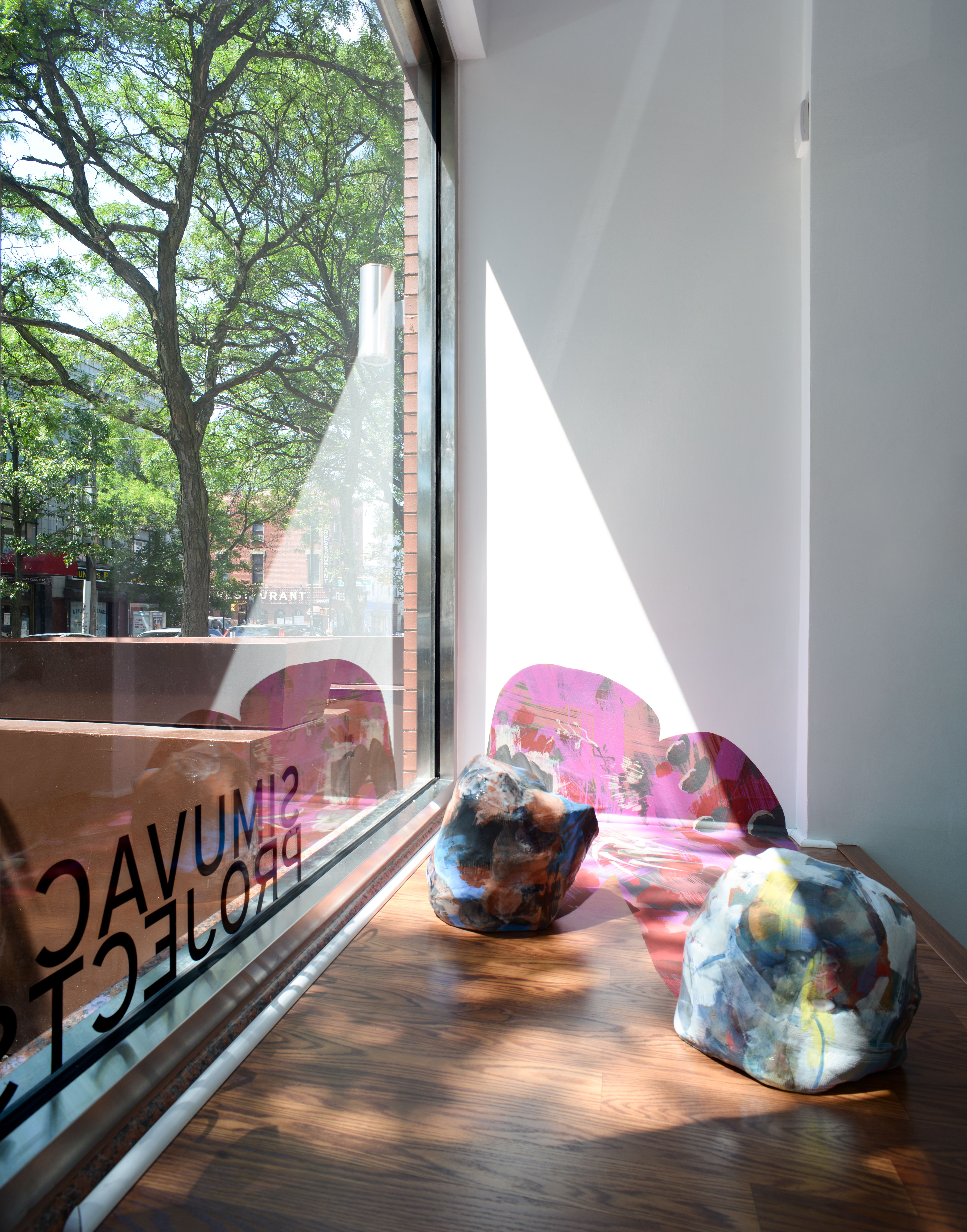 Jonathan Cowan & Rachael Gorchov, Nonspecific Places at Simuvac Projects, photo 4