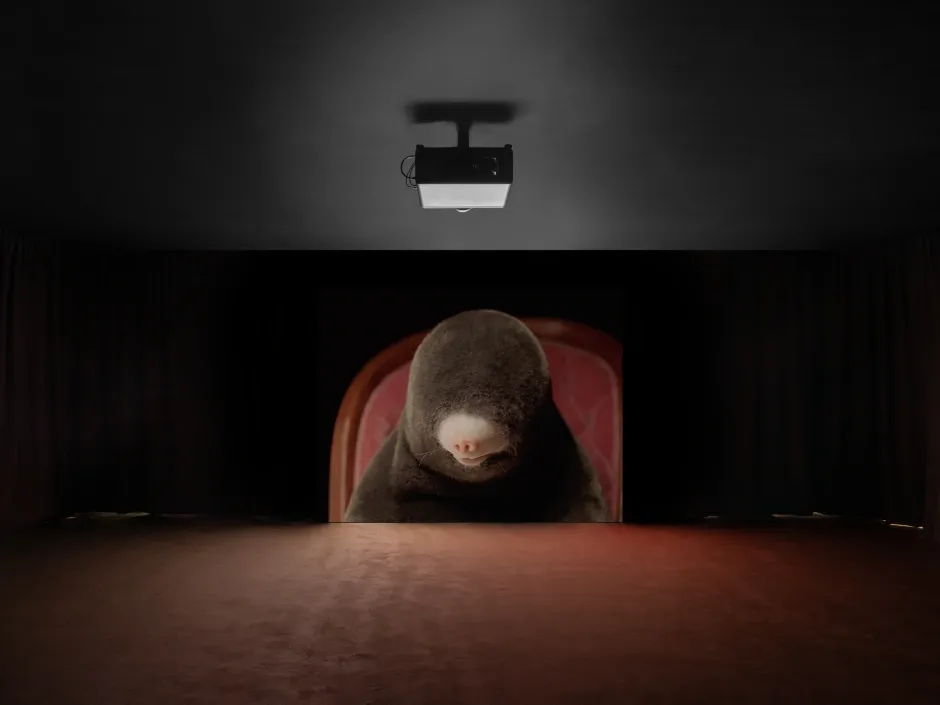 Diego Marcon, Dolle at Sadie Coles, photo 3