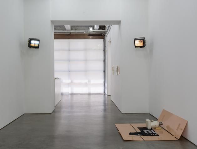 Matthew Barney, Facility Of Decline at Gladstone, photo 3