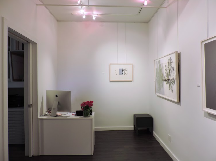 Barbara Edelstein, Leaf In The Air at Christian Duvernois Gallery, photo 5