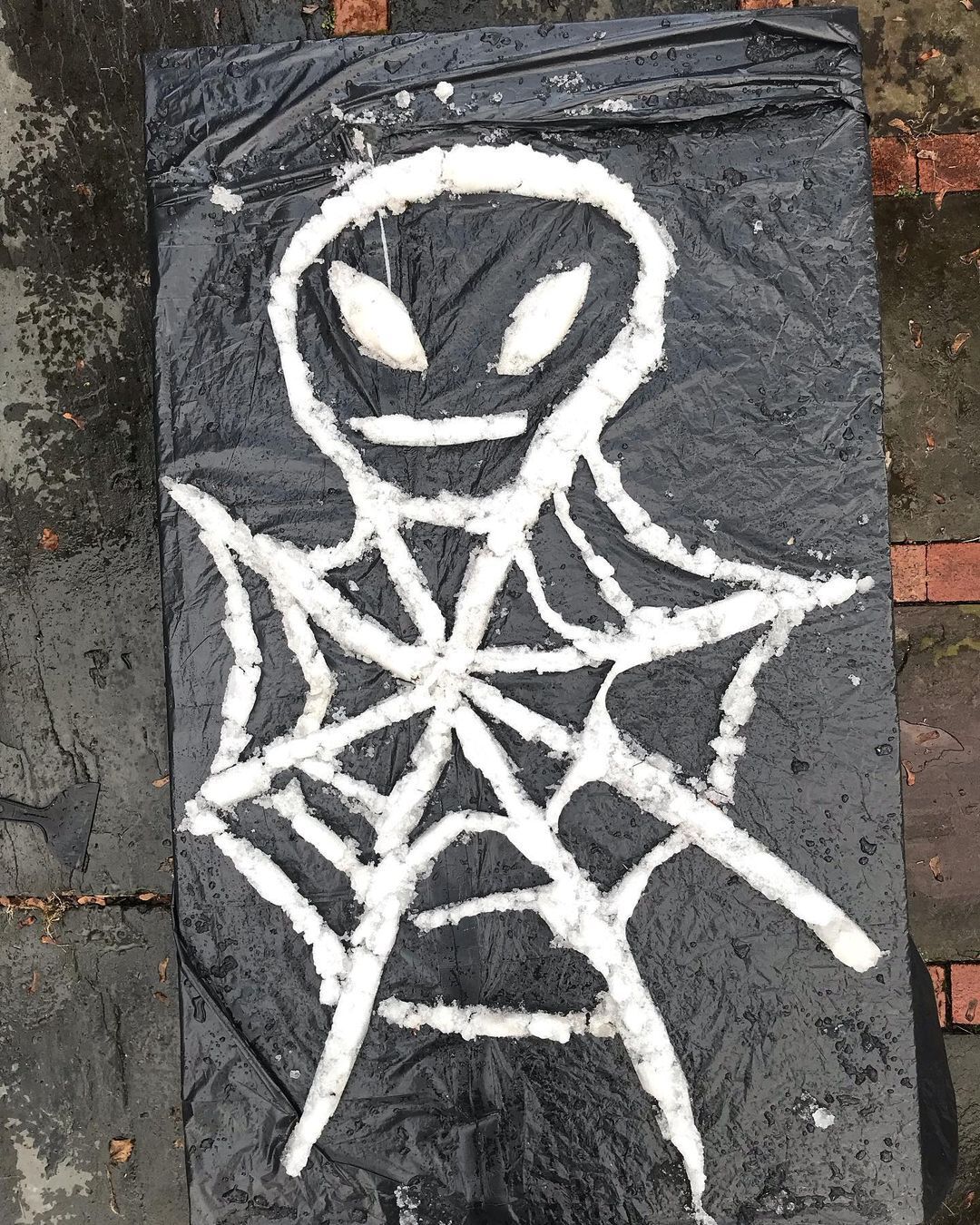 Bill Saylor, Snow Paintings at Magenta Plains, photo 3
