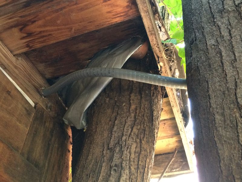 Shooting Blanks, Shooting Blanks at 67 Steps, photo 5
