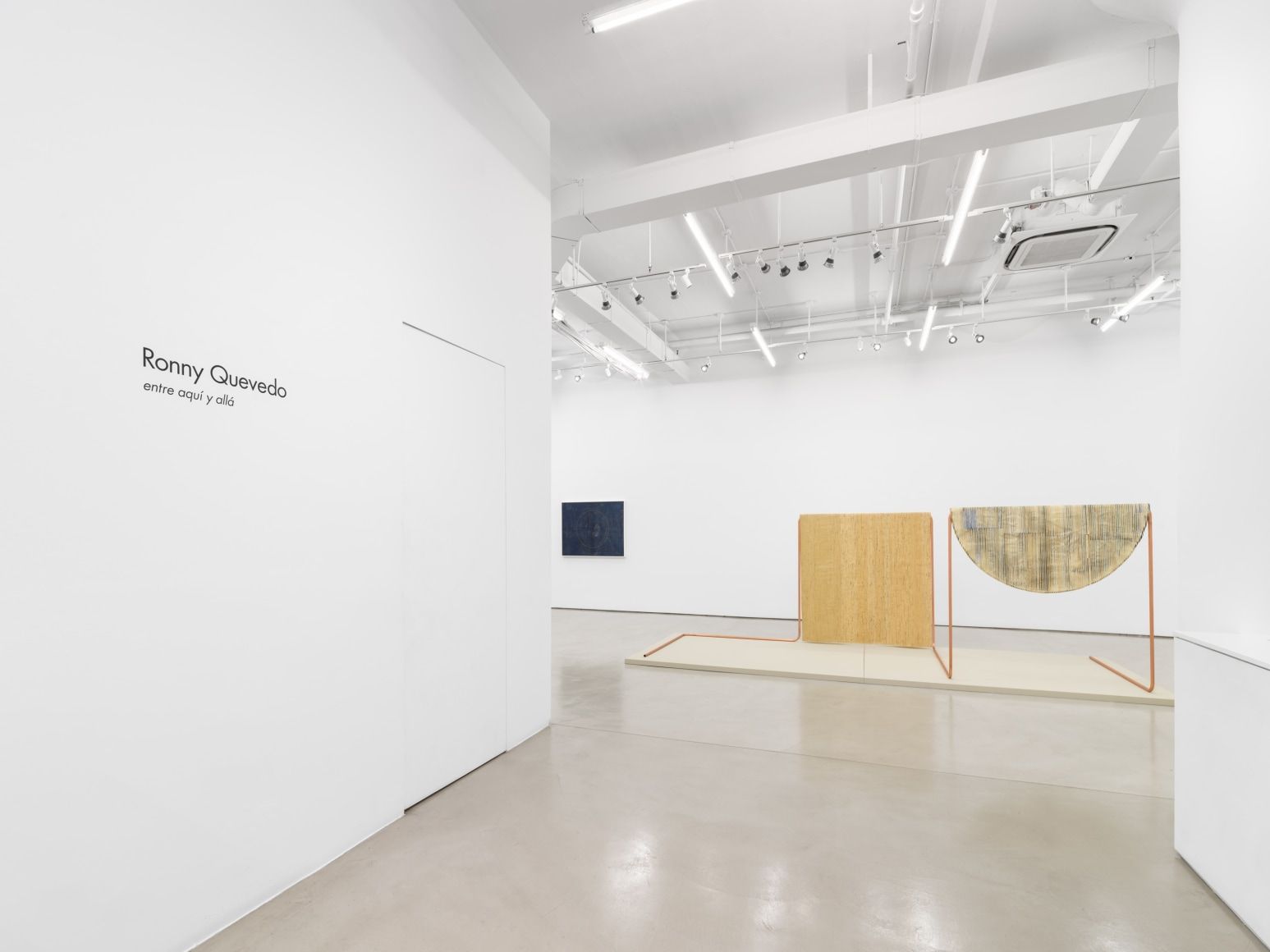 Ronny Quevedo, Entre Aquí y Allá at Alexander Gray Associates, photo 5