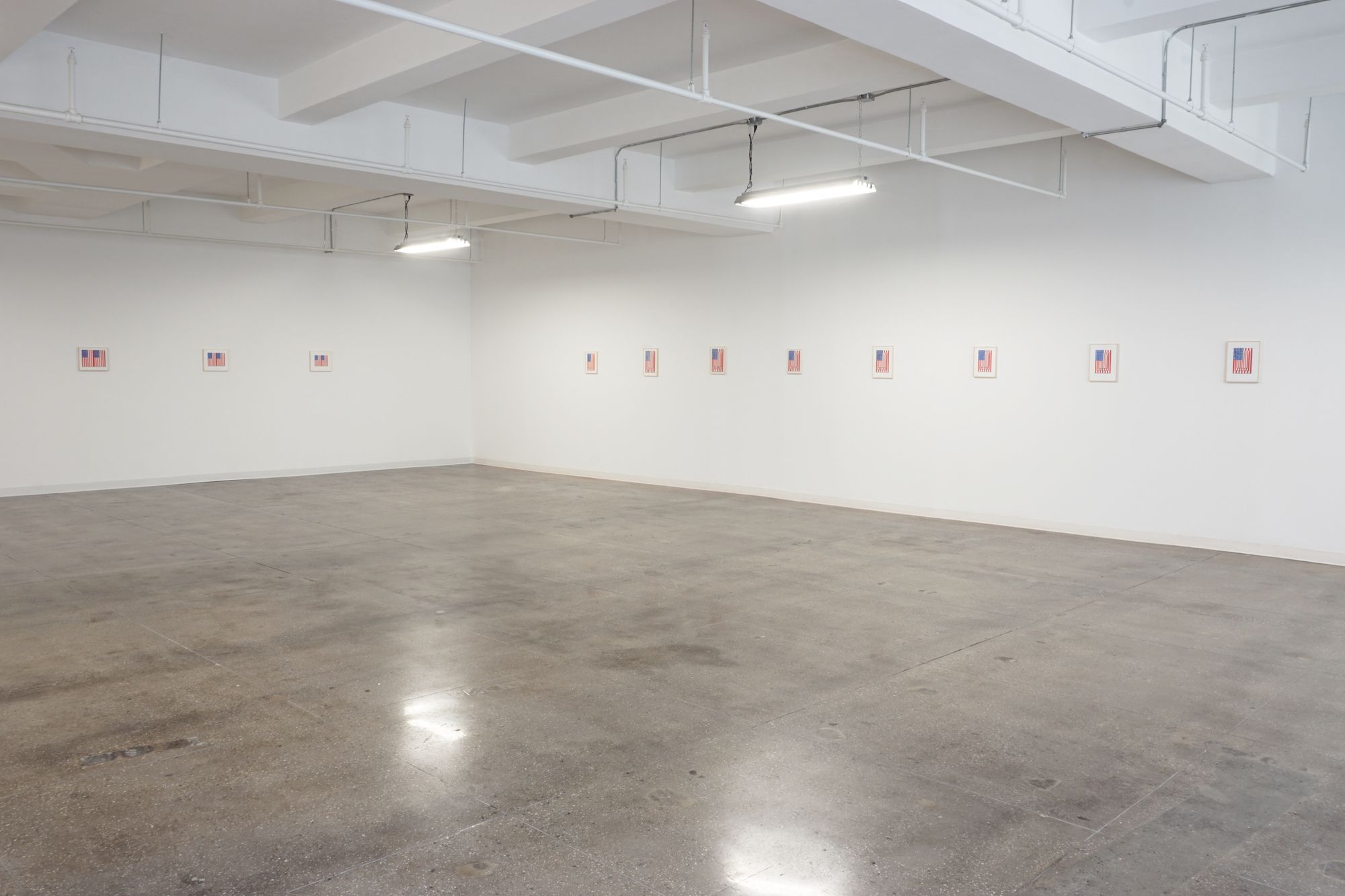 Richard Pettibone, The American Flag at Castelli Gallery, photo 2