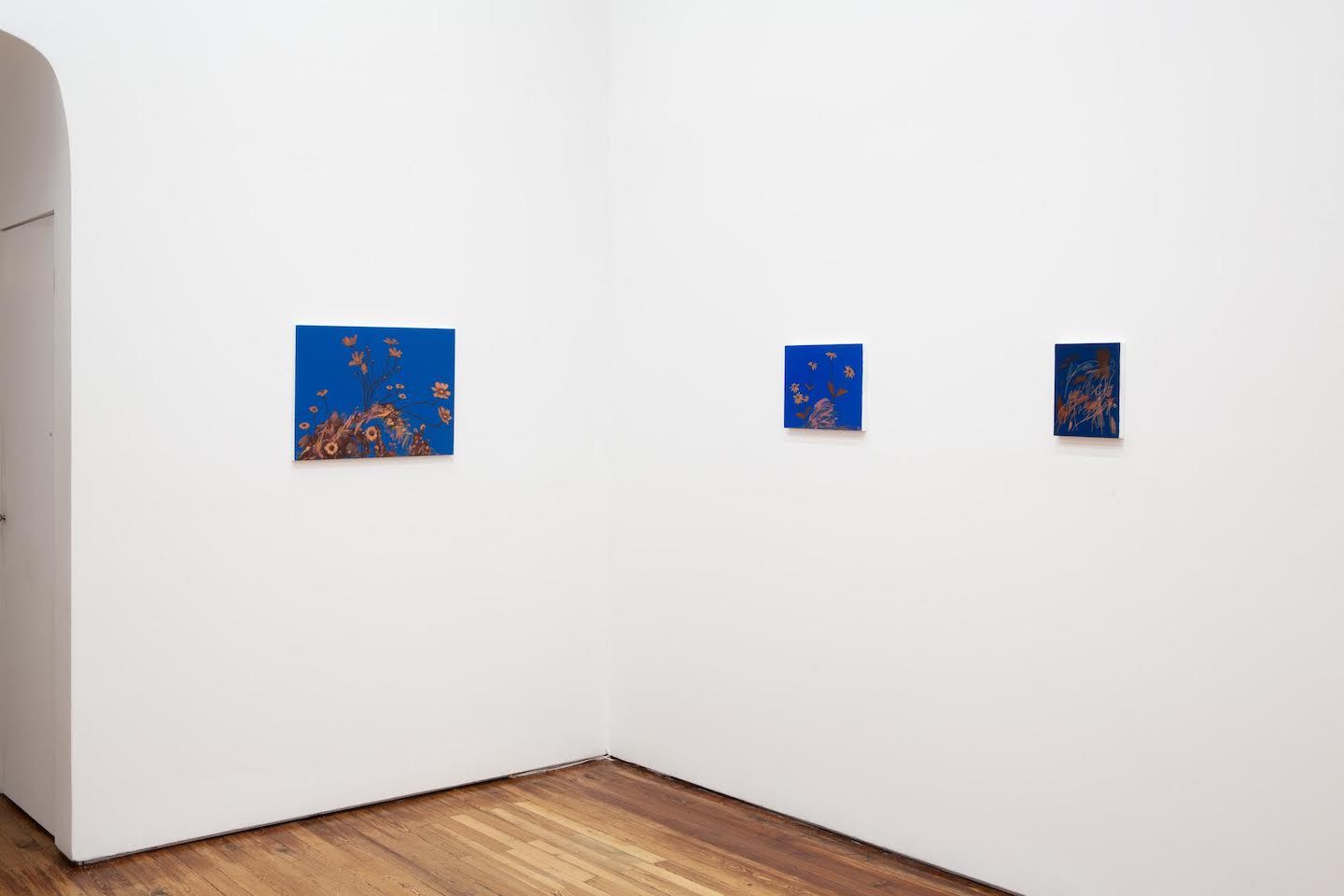 Alexandria Tarver, New Paintings at Deli Gallery, photo 4