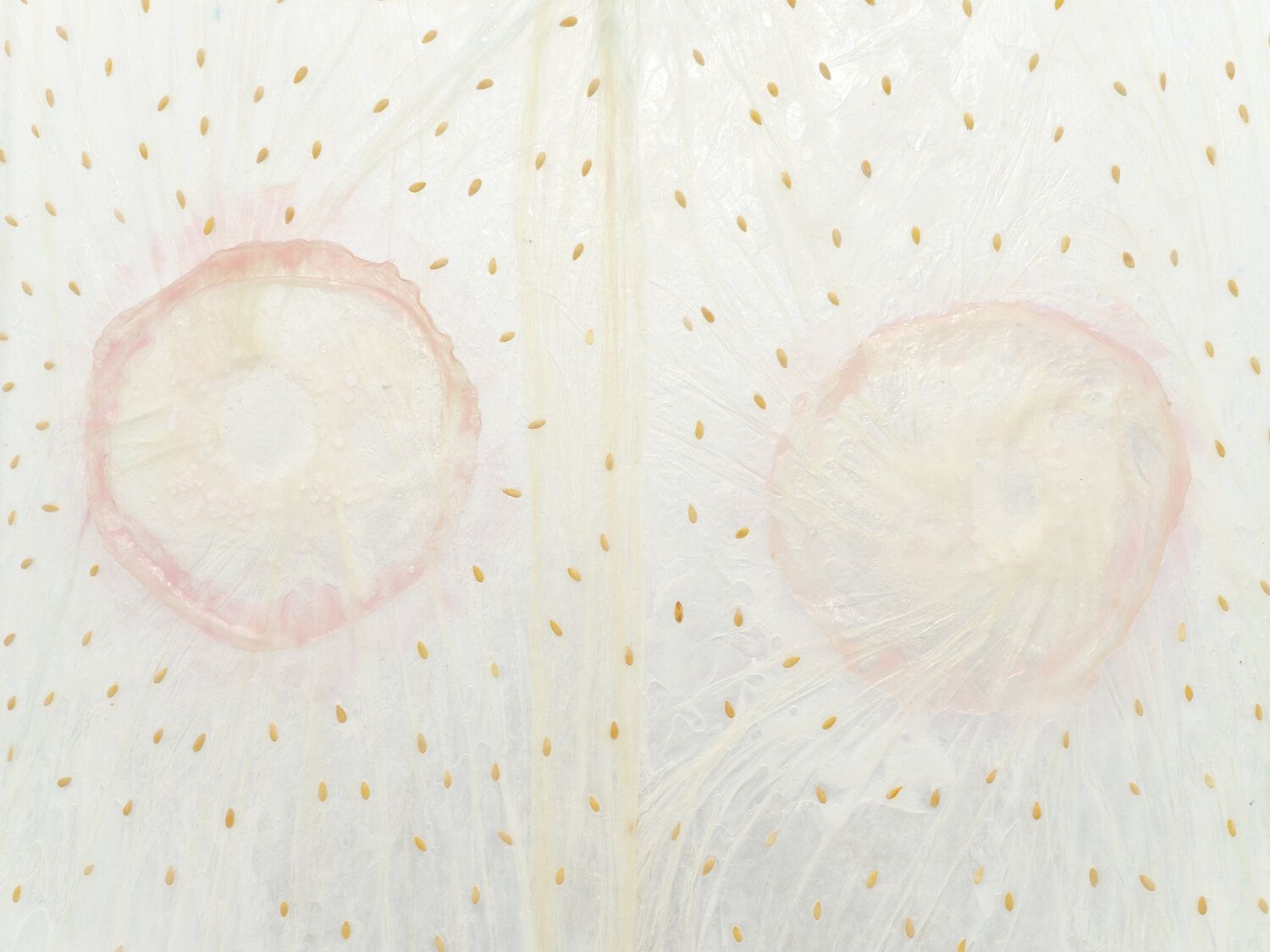 Karinne Smith, Melon Skin at M 2 3, photo 15