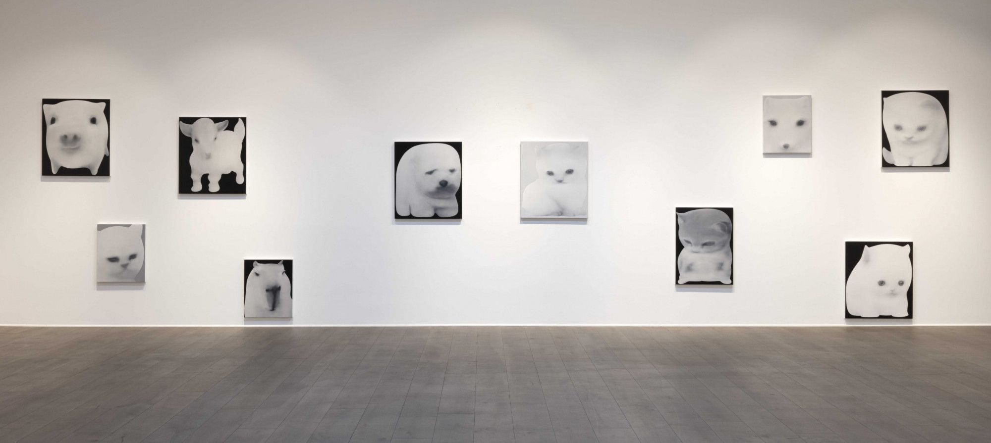 Jingze Du, True Colors at Steve Turner, photo 5