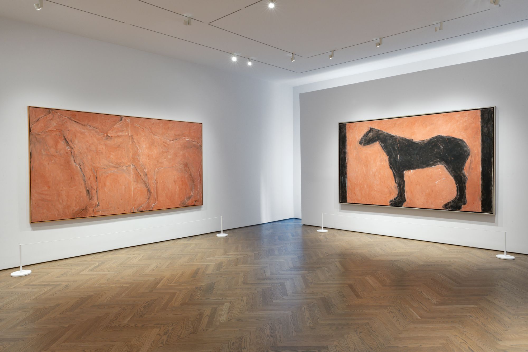 Susan Rothenberg, On Both Sides of My Line at Gray, photo 3
